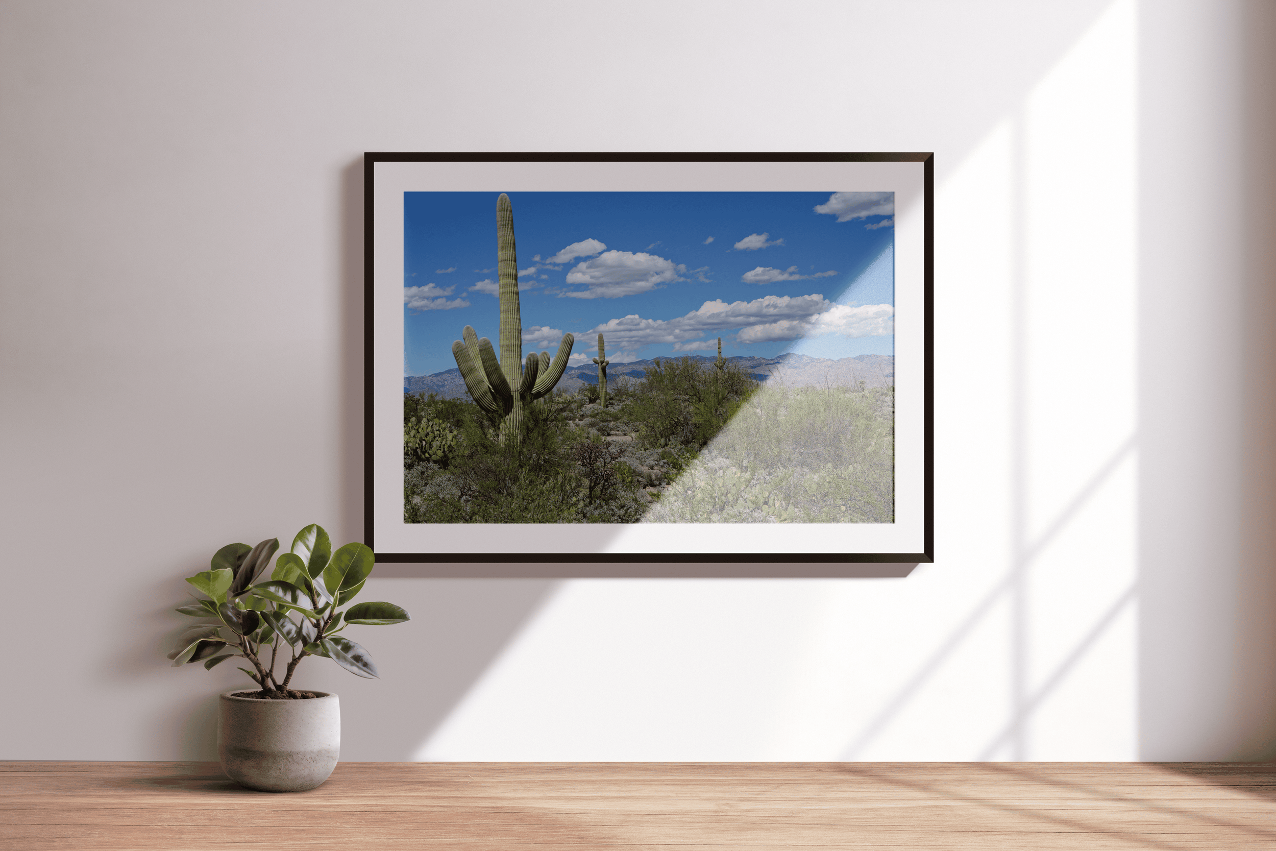 Saugaro National Park - Landscape.png