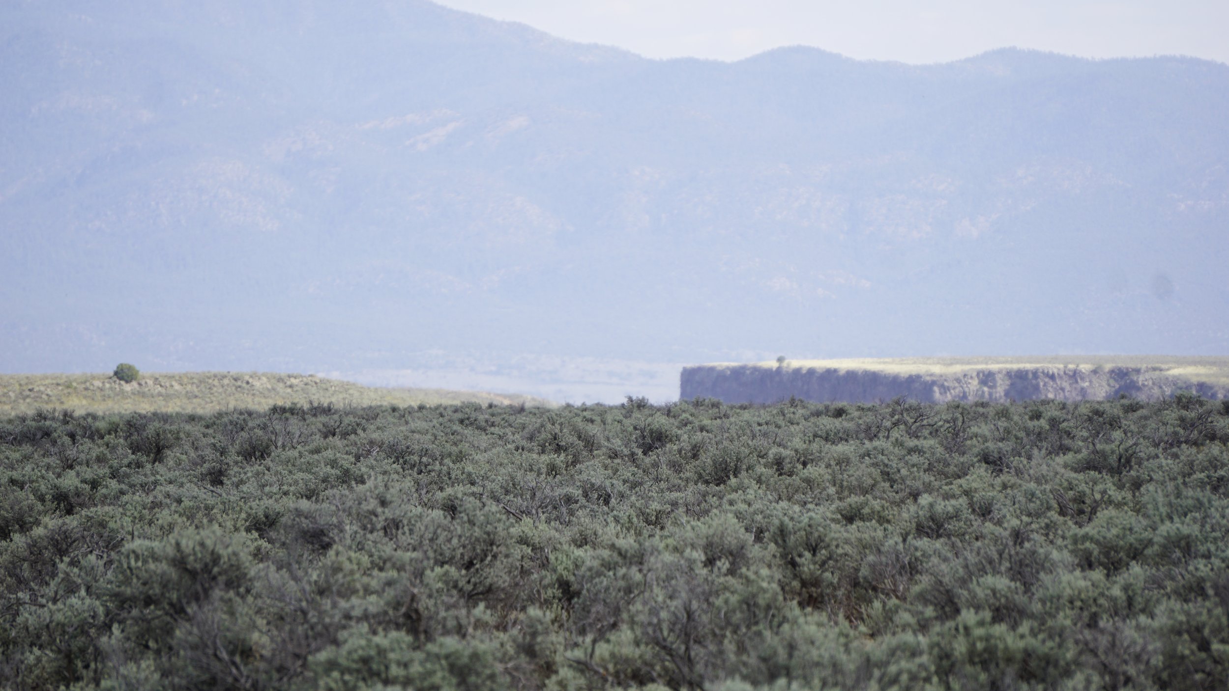 Edge of the Gorge