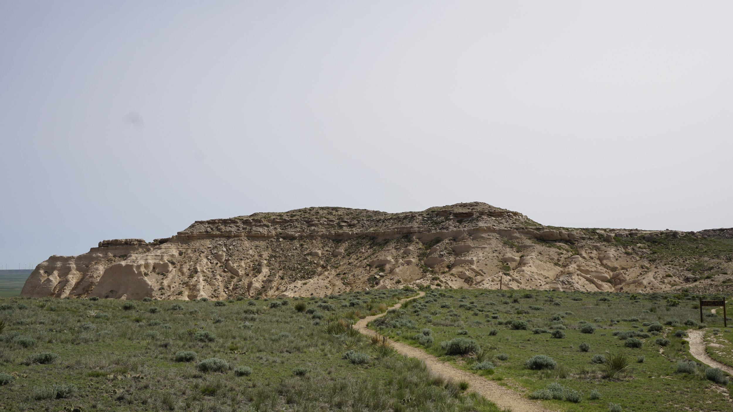 _DSC6483.JPG