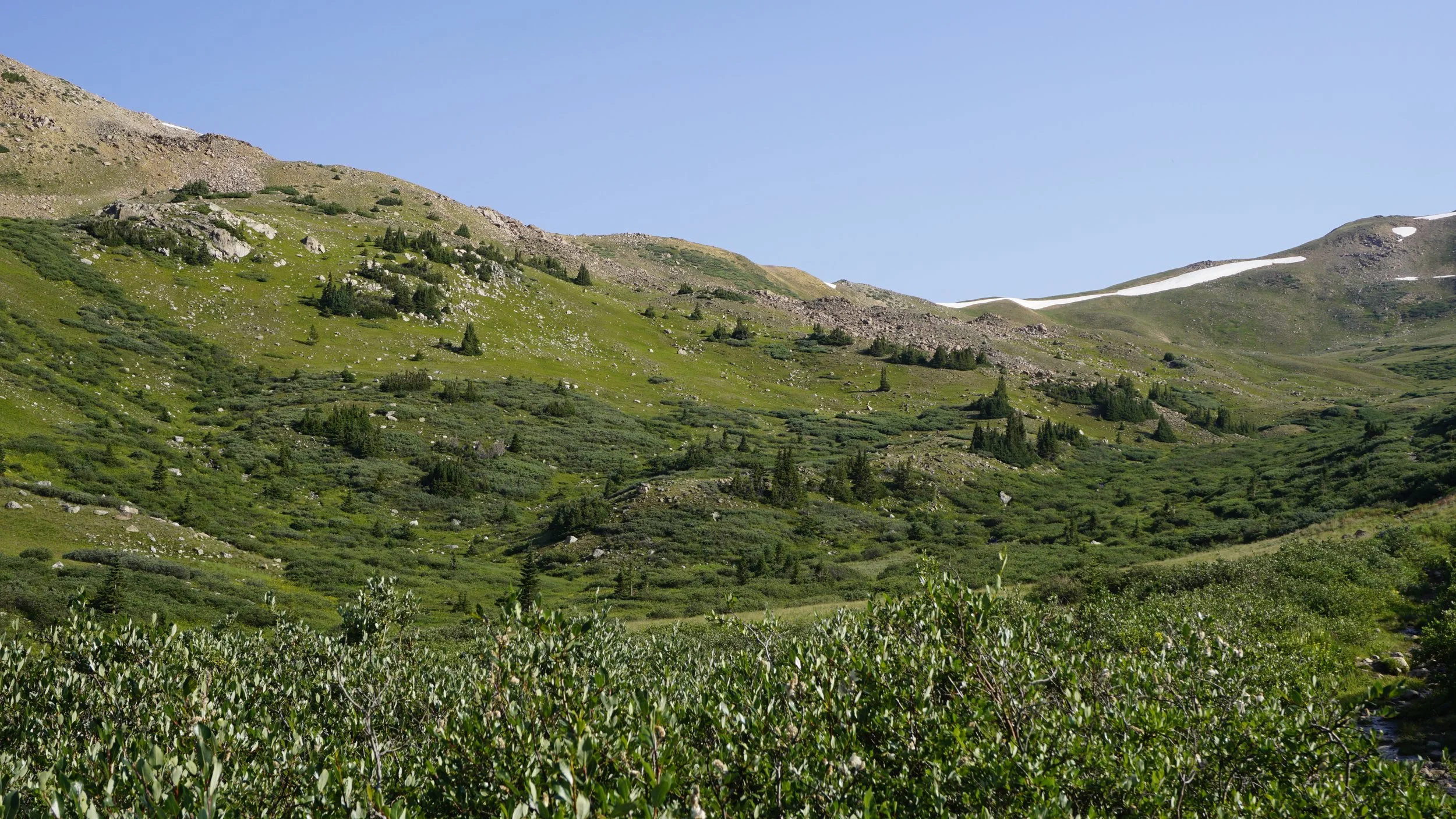 _DSC7236.JPG