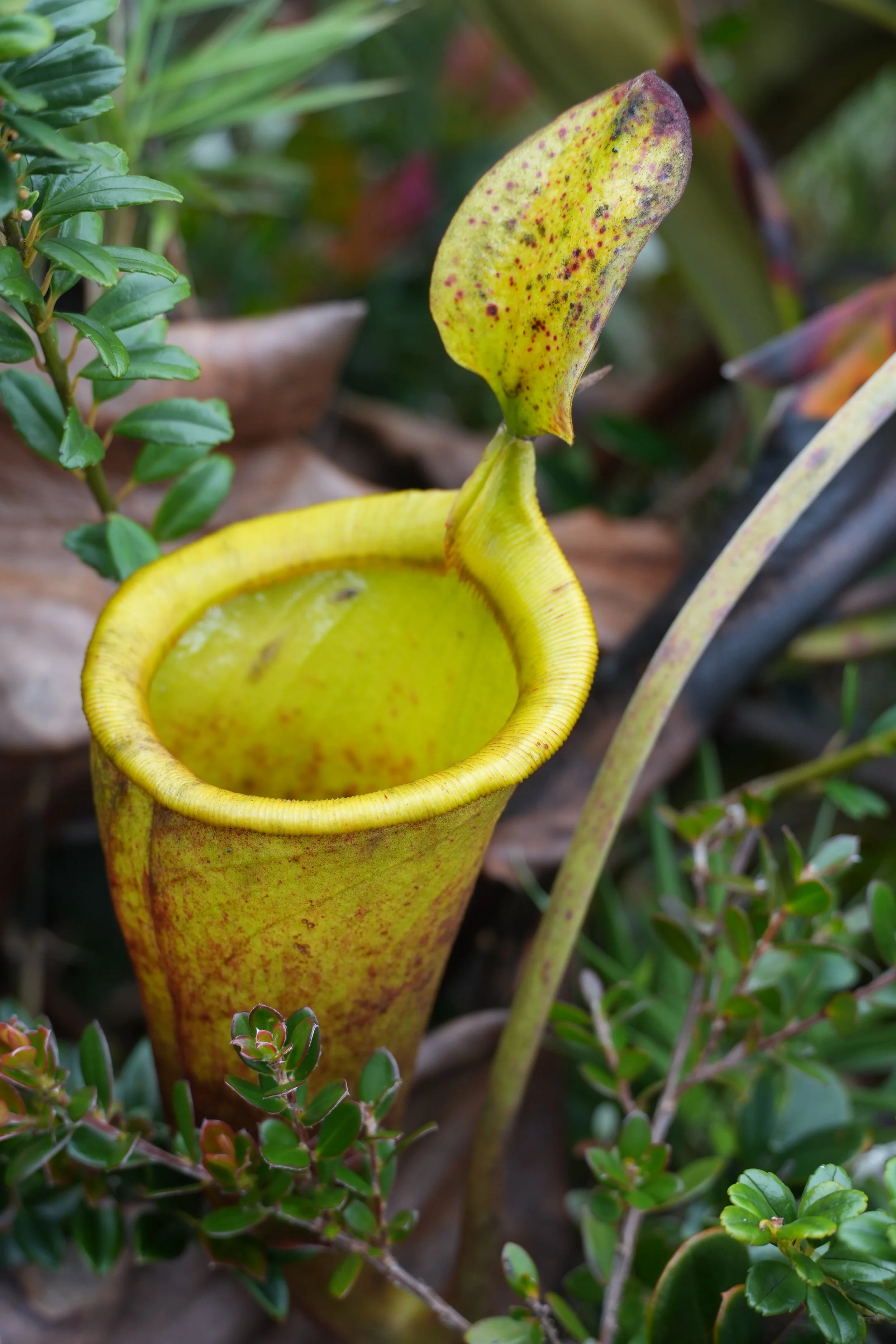 ACM03087.jpg