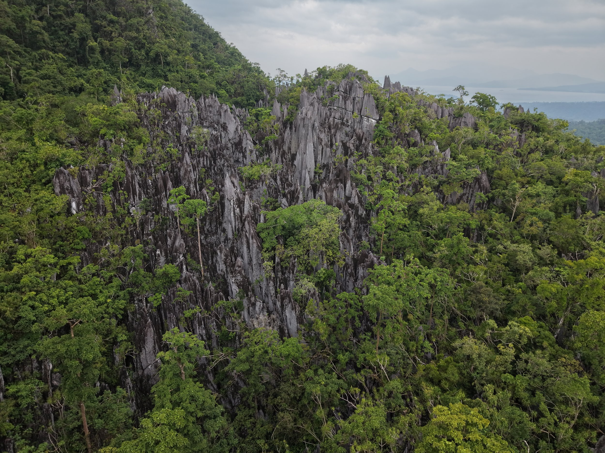 DJI_20260807072617_0051_D_AM.JPG