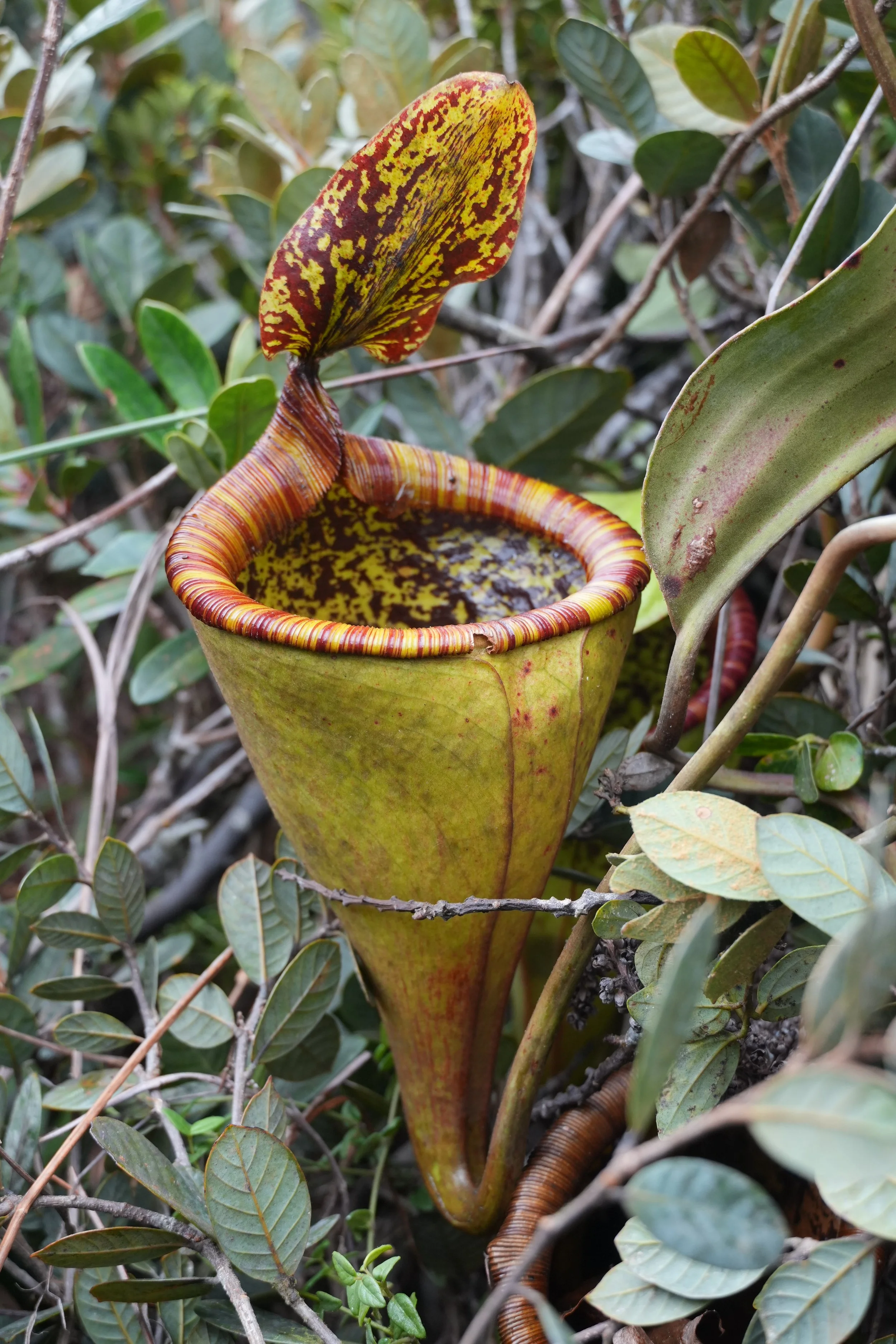 ACM03305.jpg