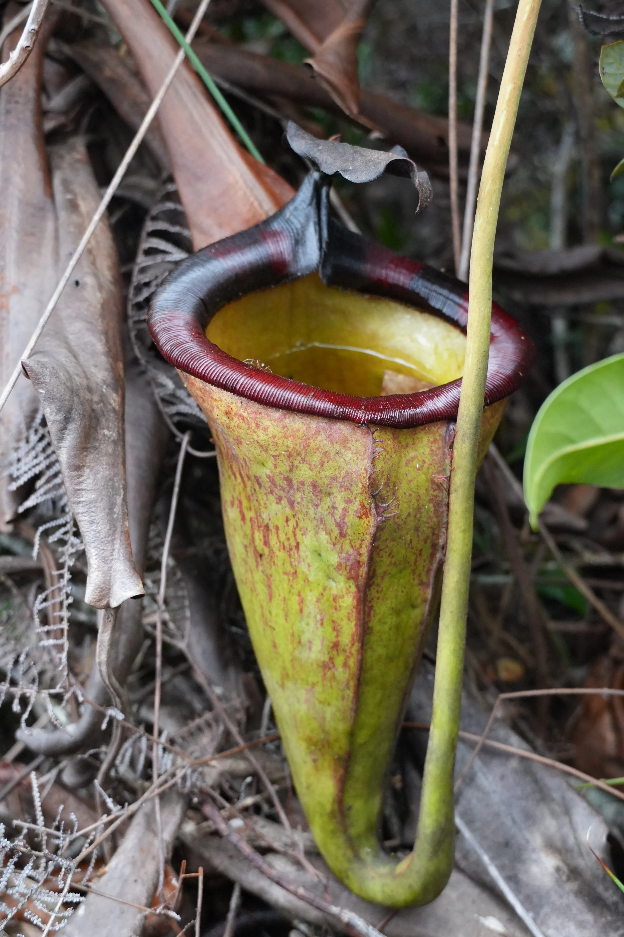 ACM03192.jpg
