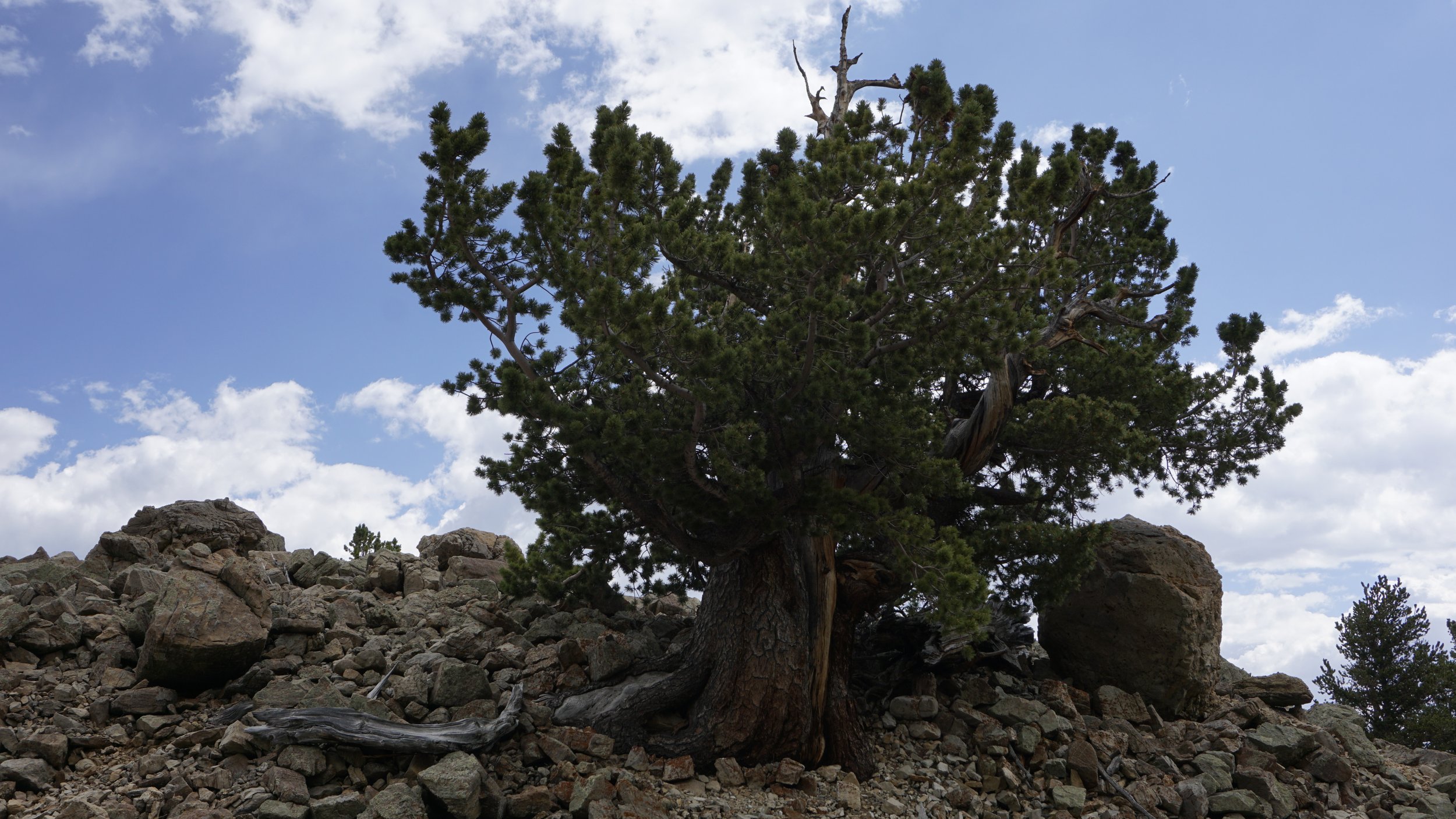 _DSC6732.JPG