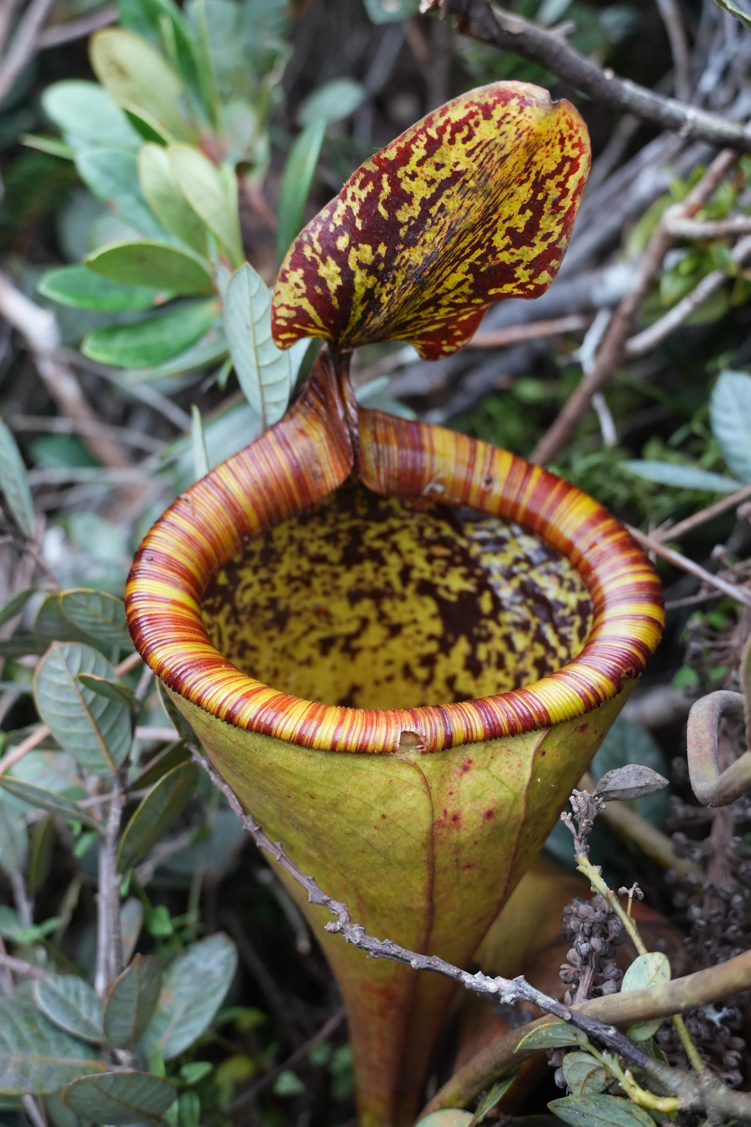 ACM03547.jpg