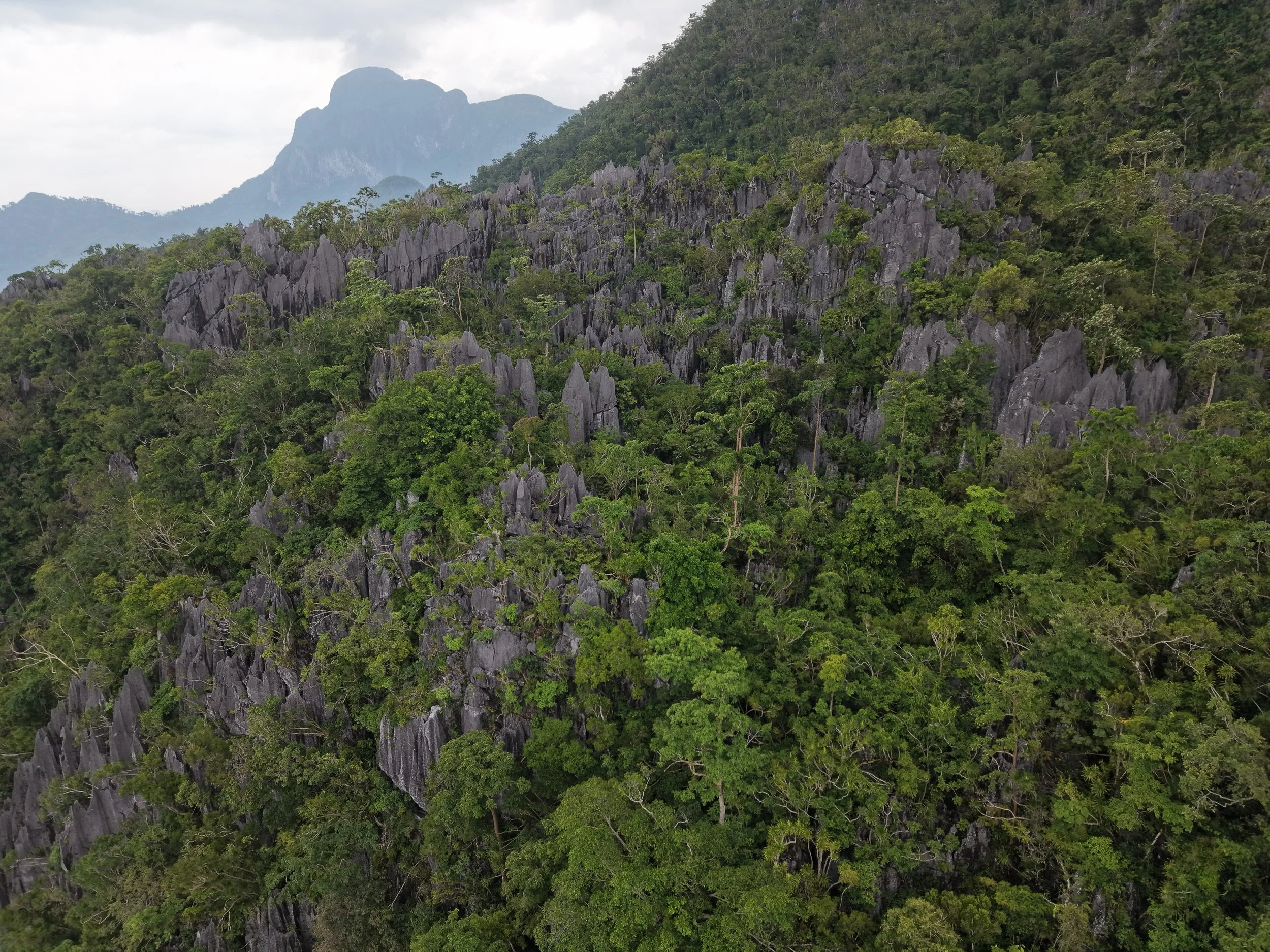 DJI_20260809202631_0304_D_AM.JPG