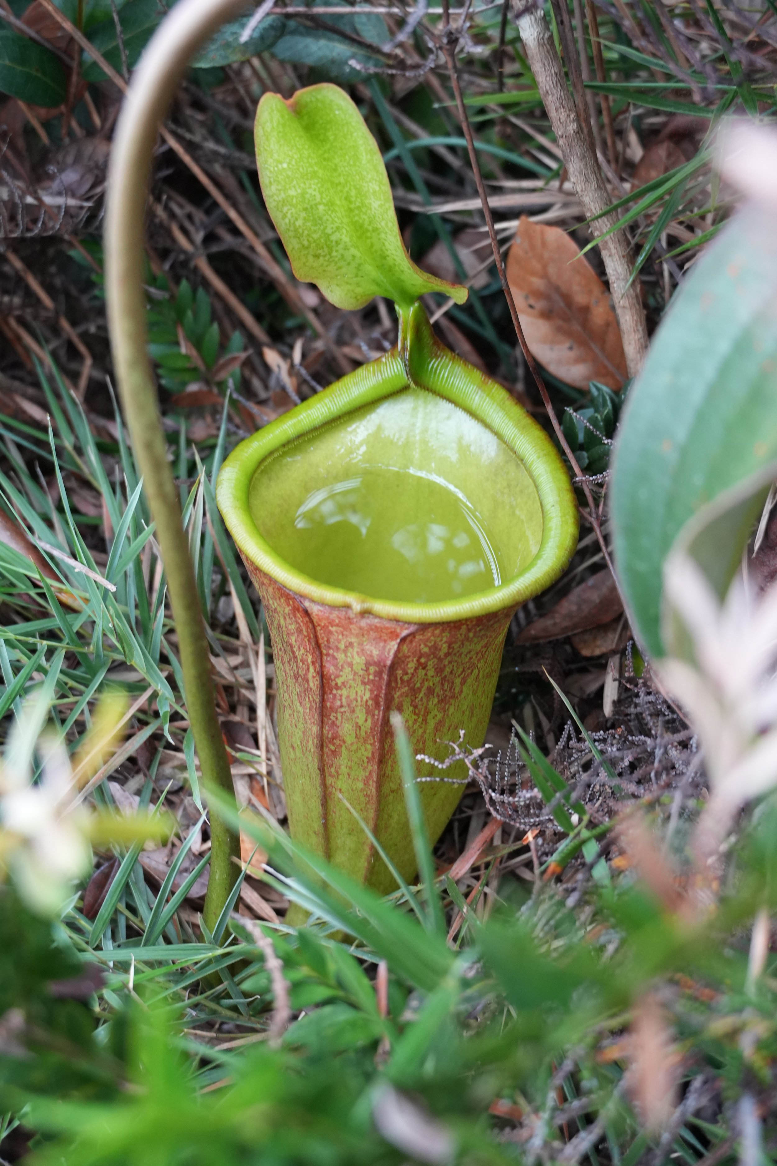 ACM03224.jpg