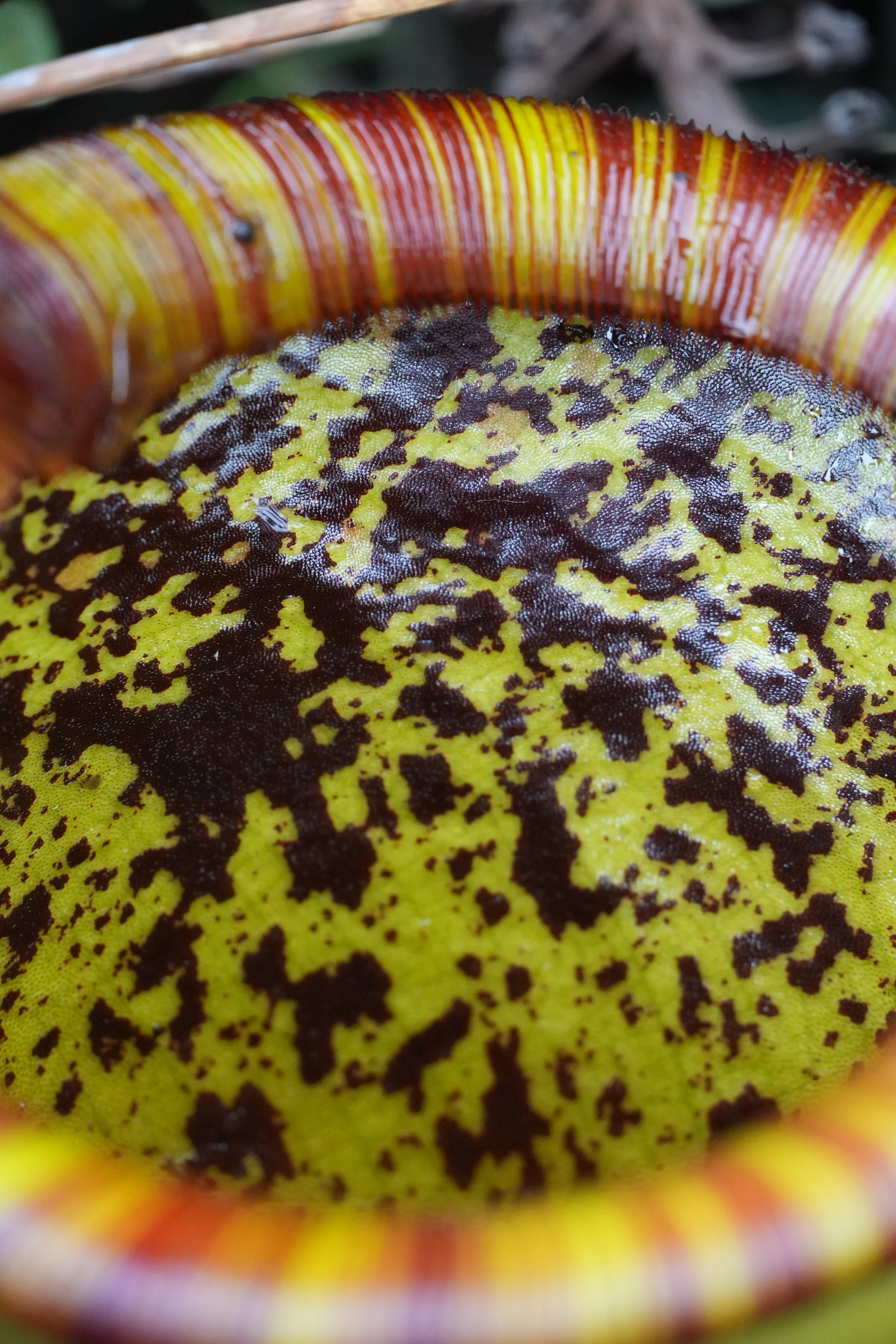 ACM03408.jpg