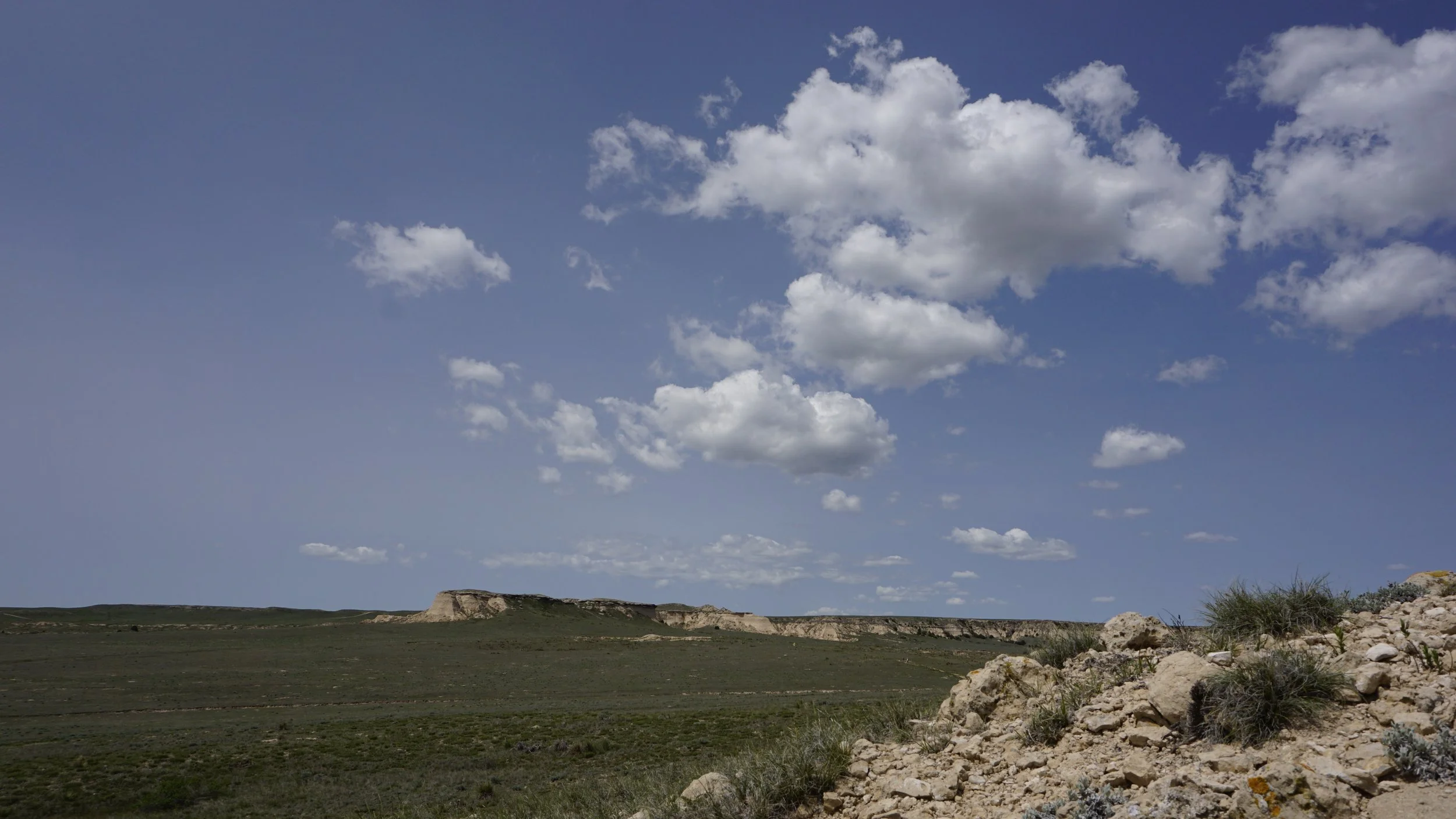 _DSC6558.JPG