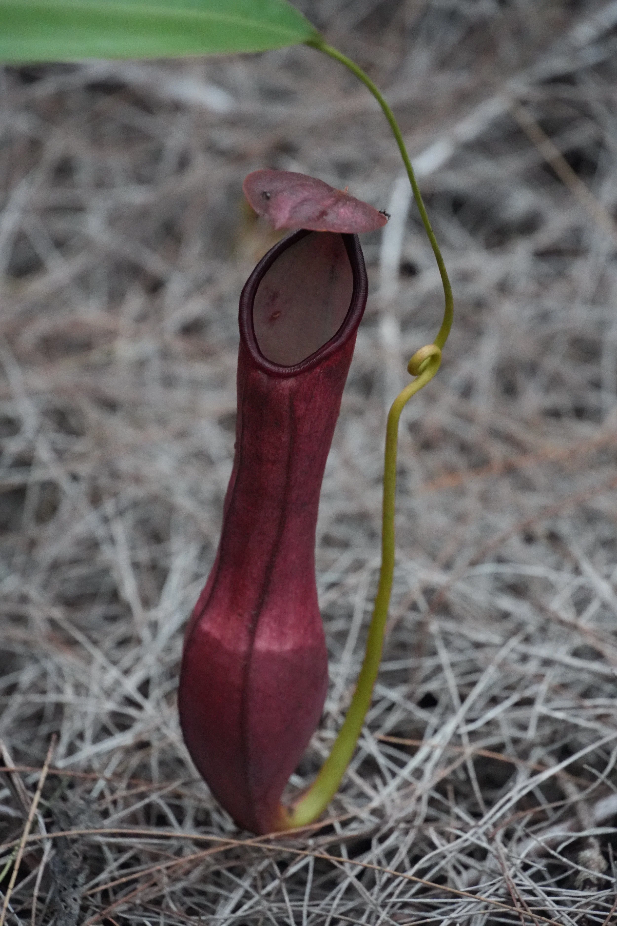 ACM04601.jpg