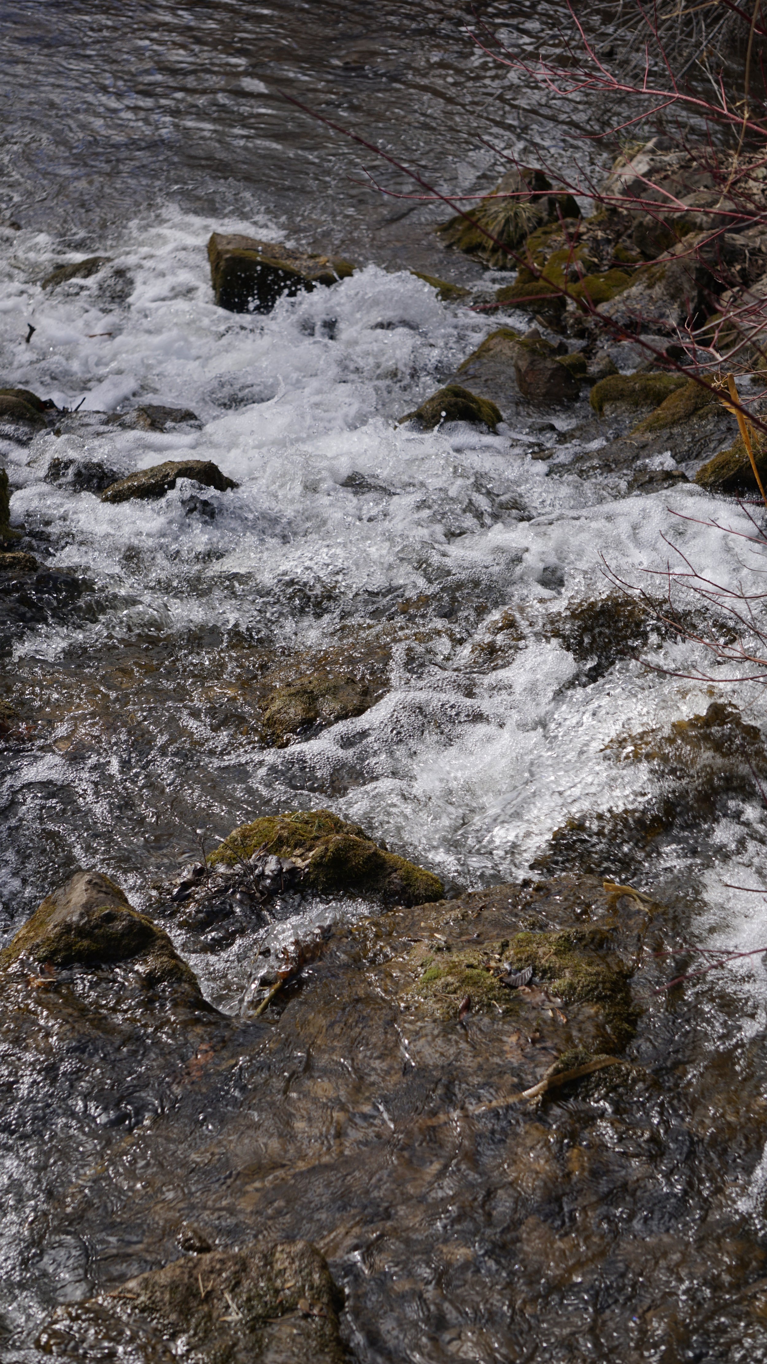 Stream