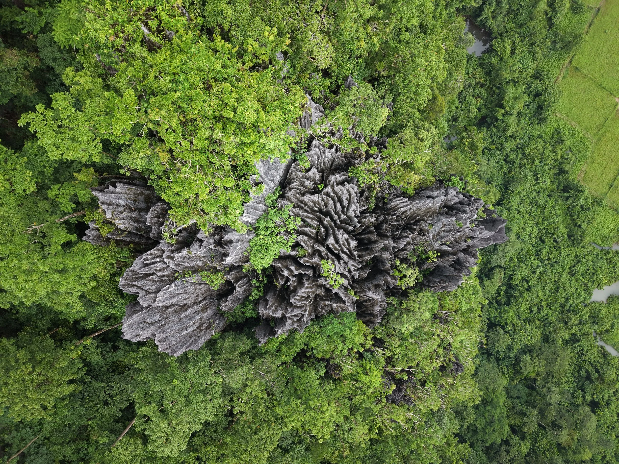 DJI_20260809203610_0320_D_AM.JPG
