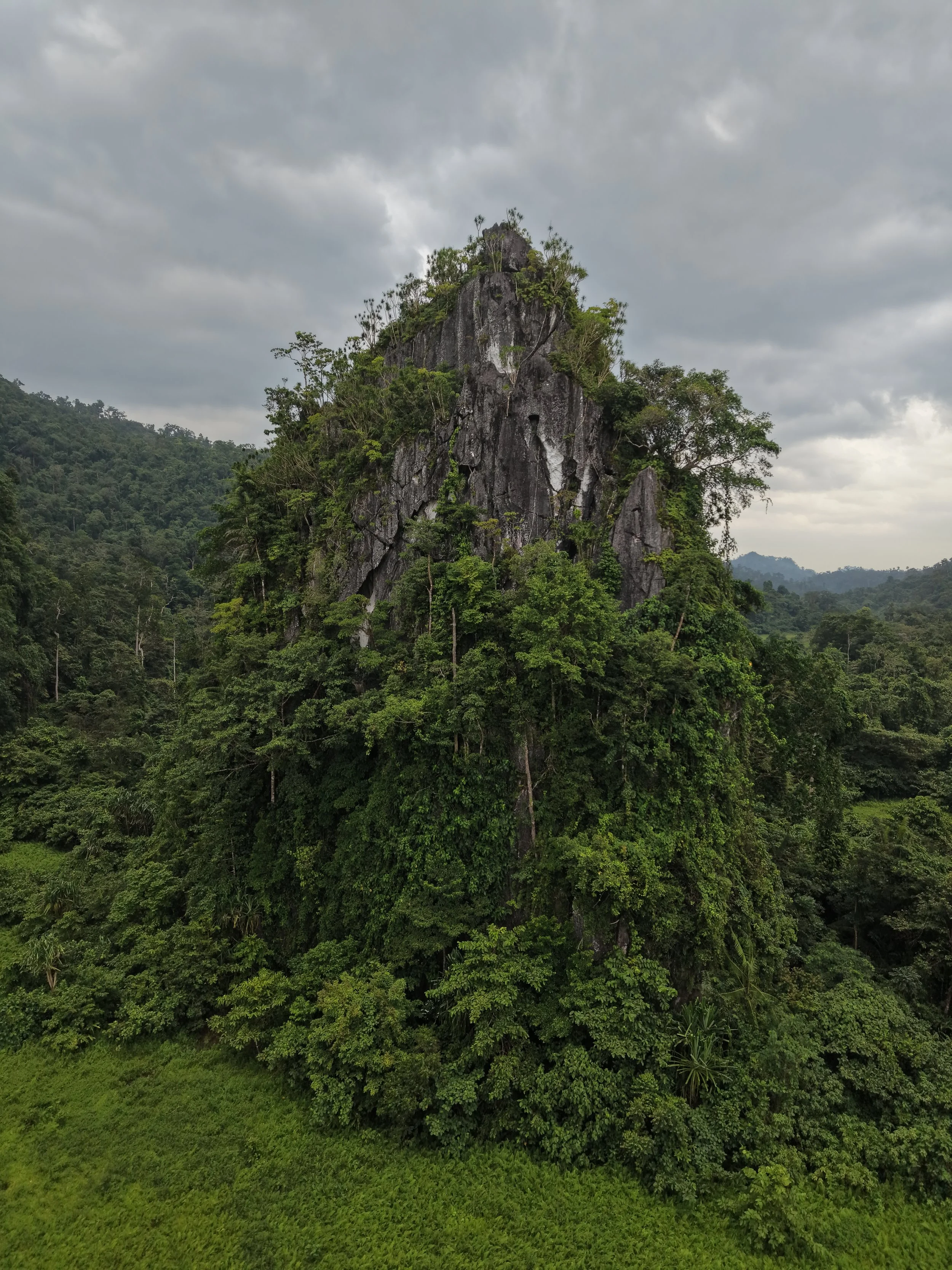 DJI_20260807073423_0070_D_AM.JPG