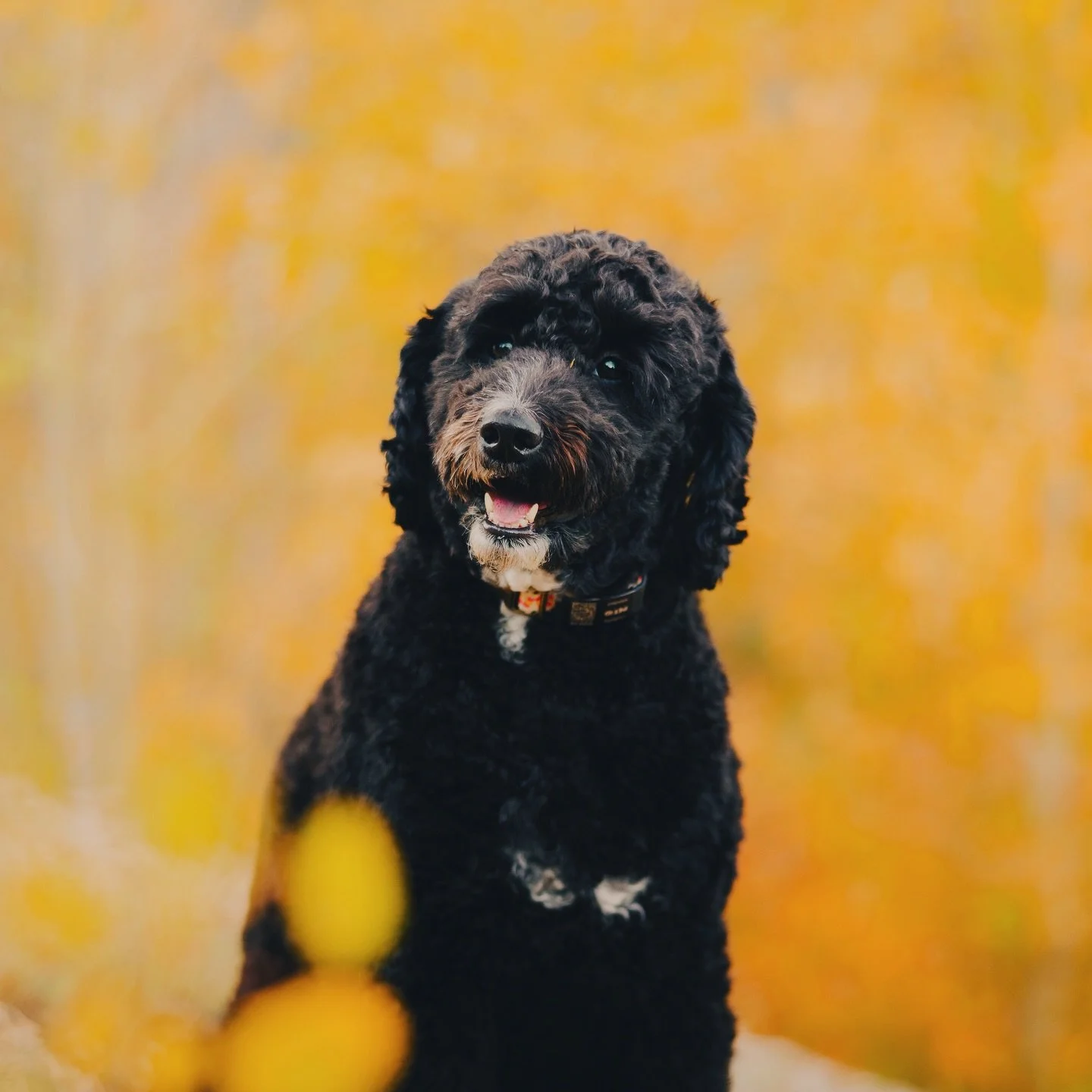 Little Lola growing up so fast. 
How has 2 years already gone by?!