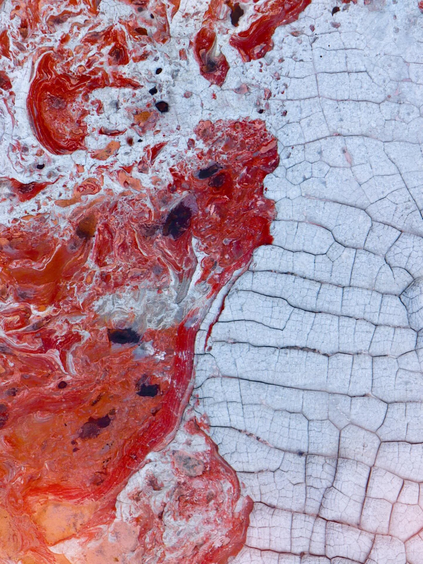 More from White Pocket

This place seriously will blow your mind. The colors, the shapes, the entire environment is so unique that you&rsquo;re left speechless. 

This was our first trip here and we will have to return. We spent two days hiking, flyi