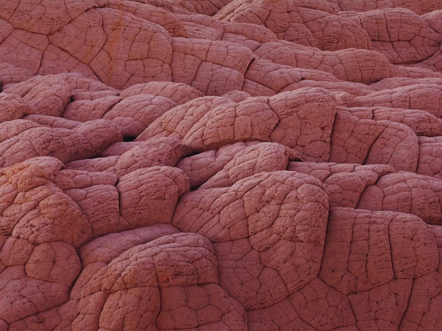 - Coral Pink - 

Favorite color from the Southwest