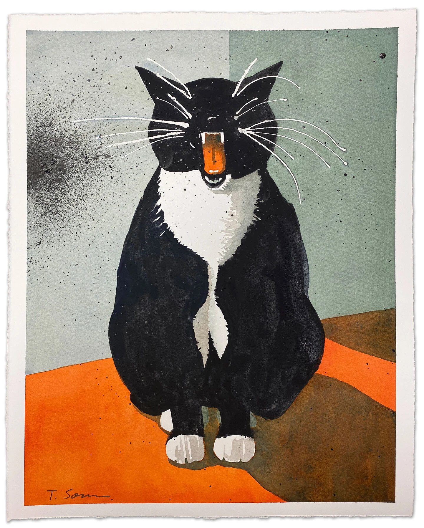 Cat Speak on Orange