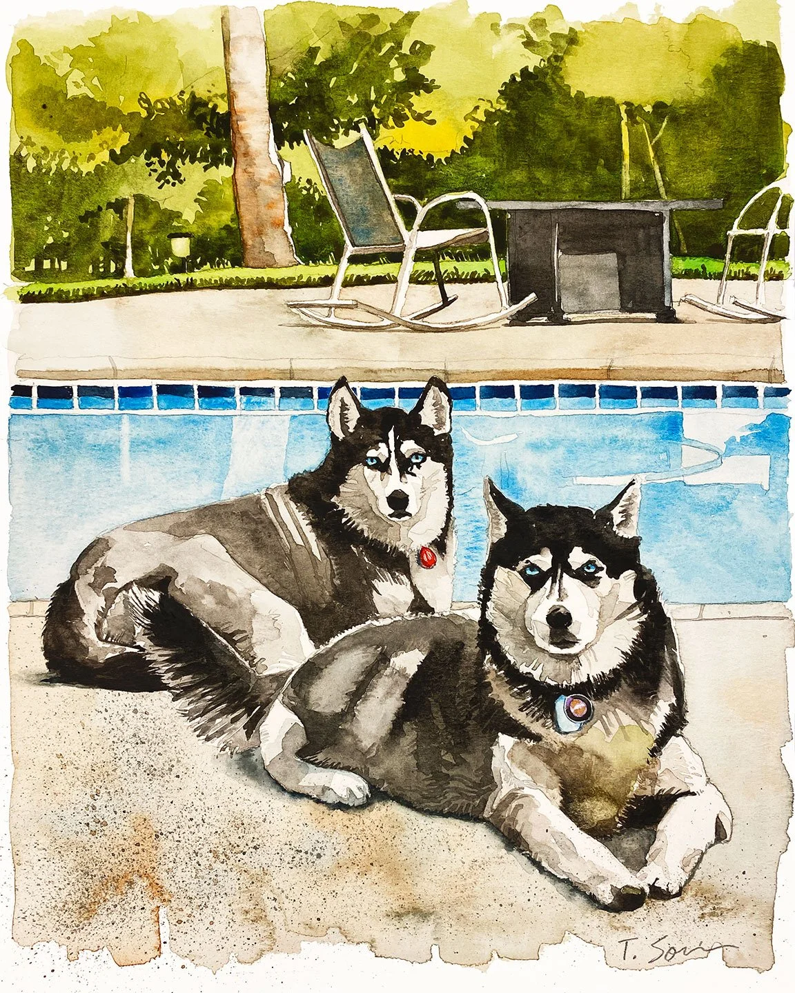 Mark's Dogs