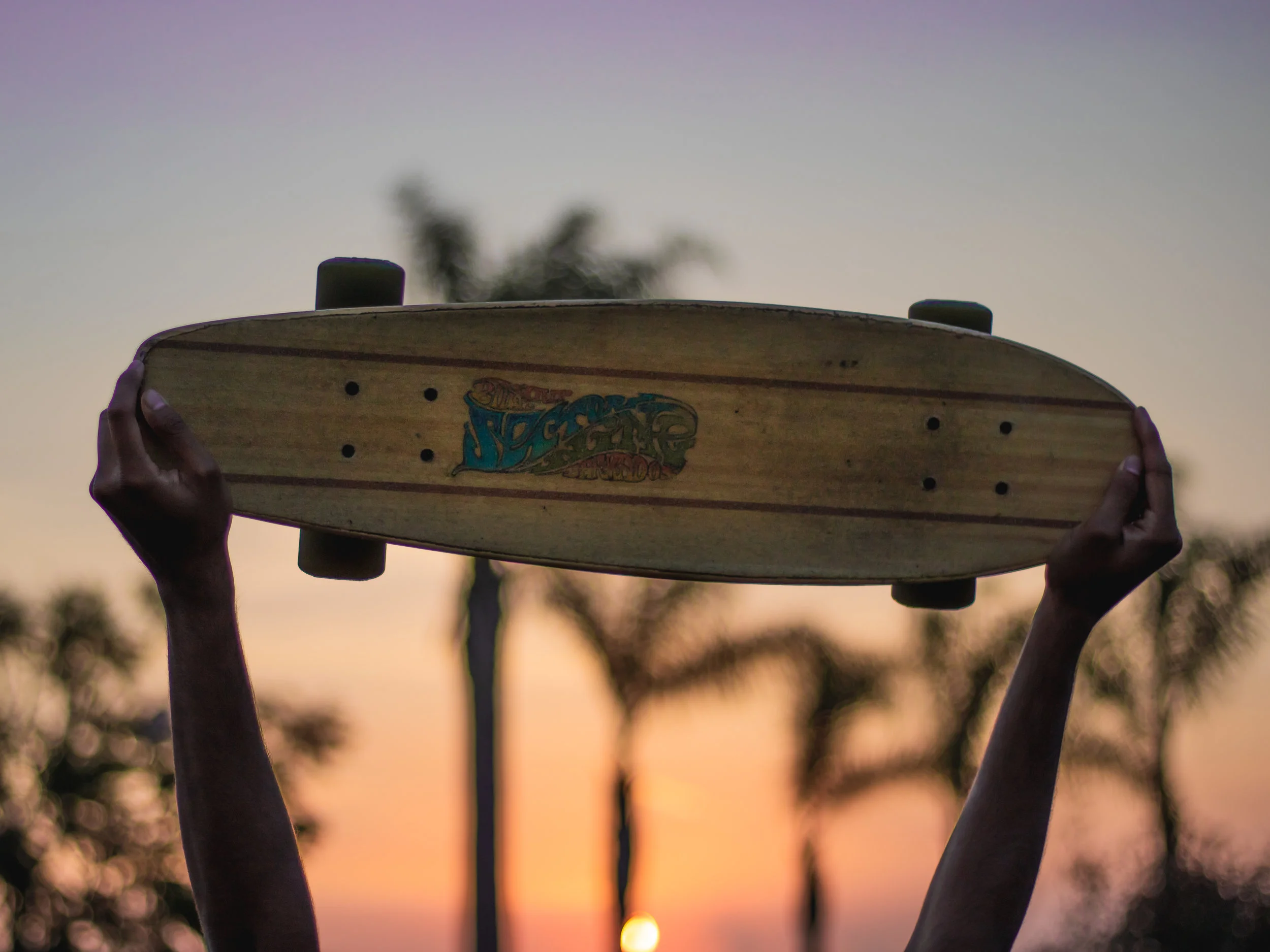 Skate Sesh (Aray, Gautam)-2.jpg