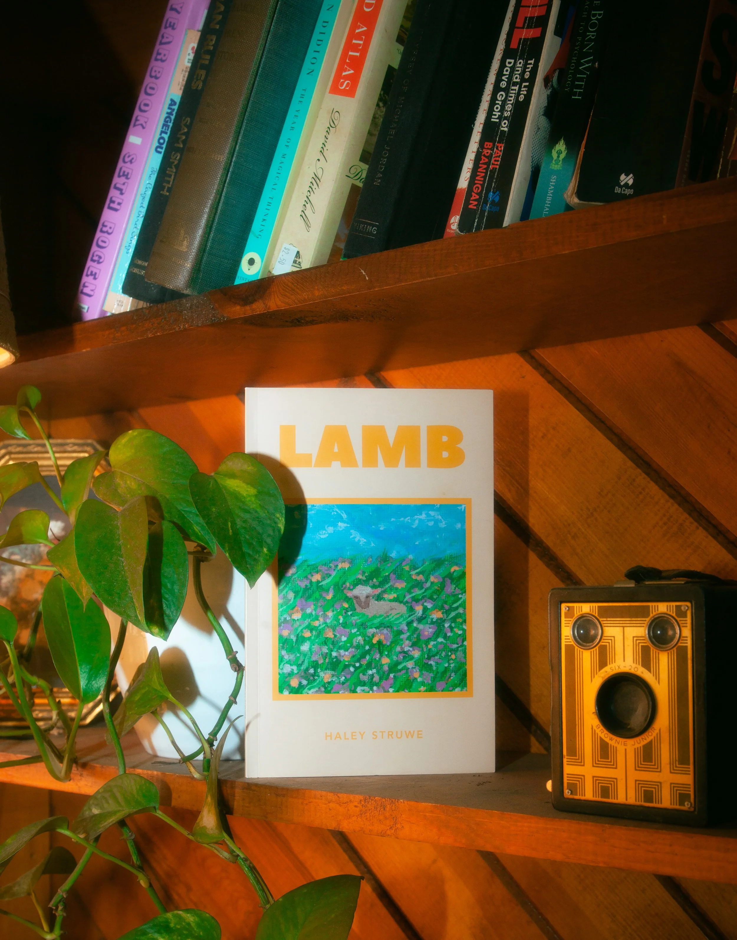 LAMB image 4.jpg