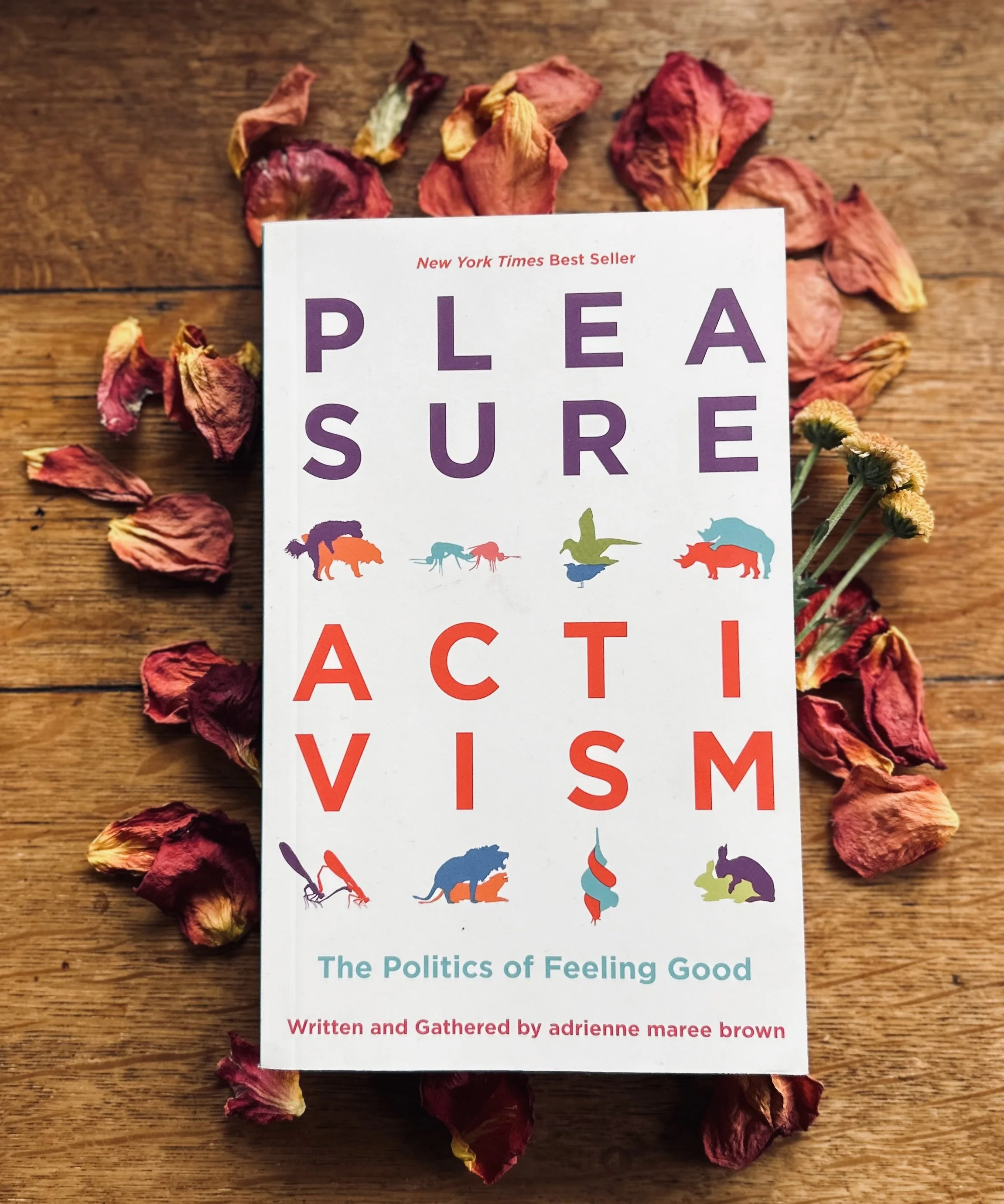 Pleasure Activism 