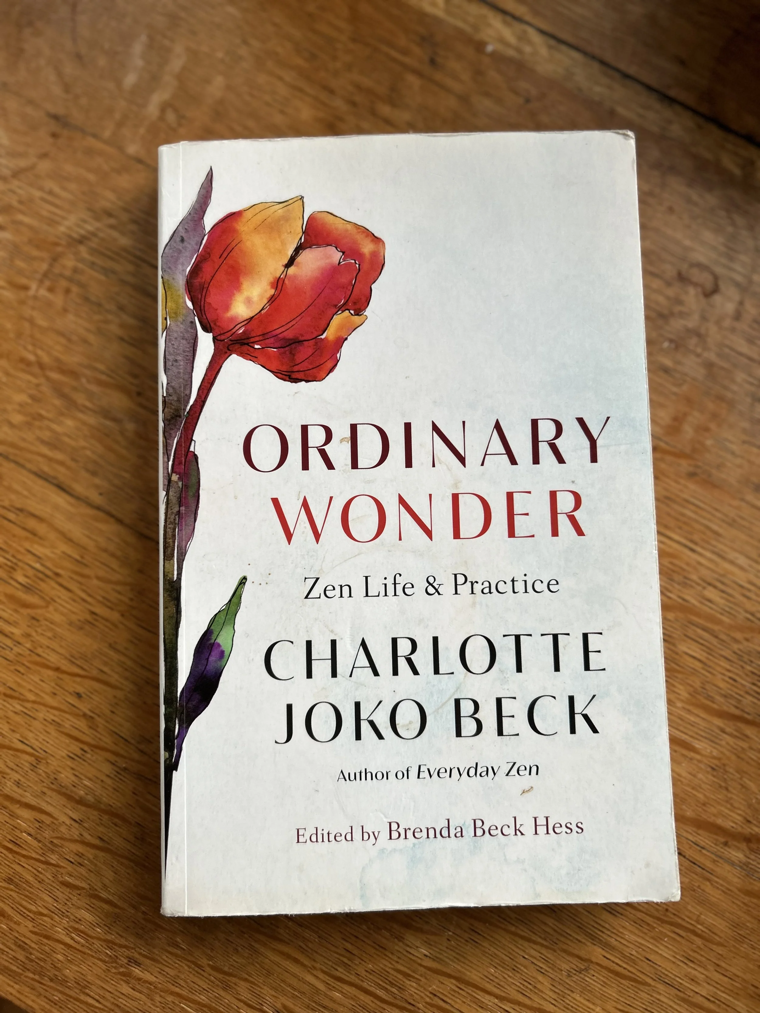 Ordinary Wonder