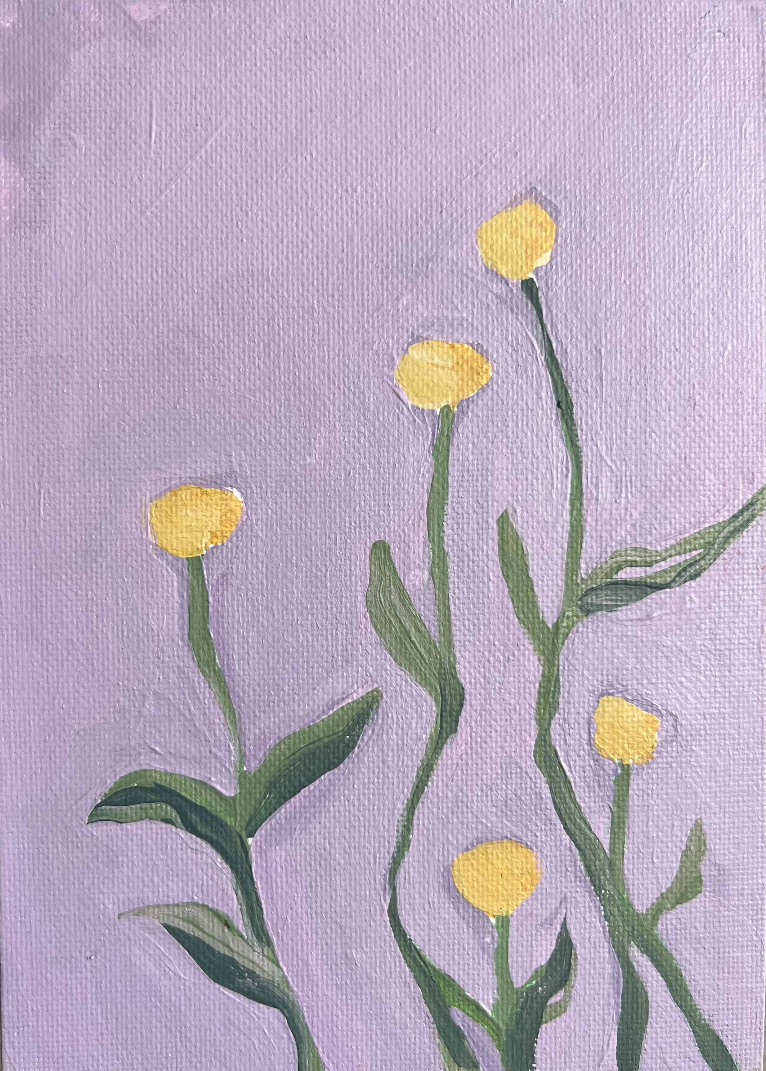 Yellow Buds