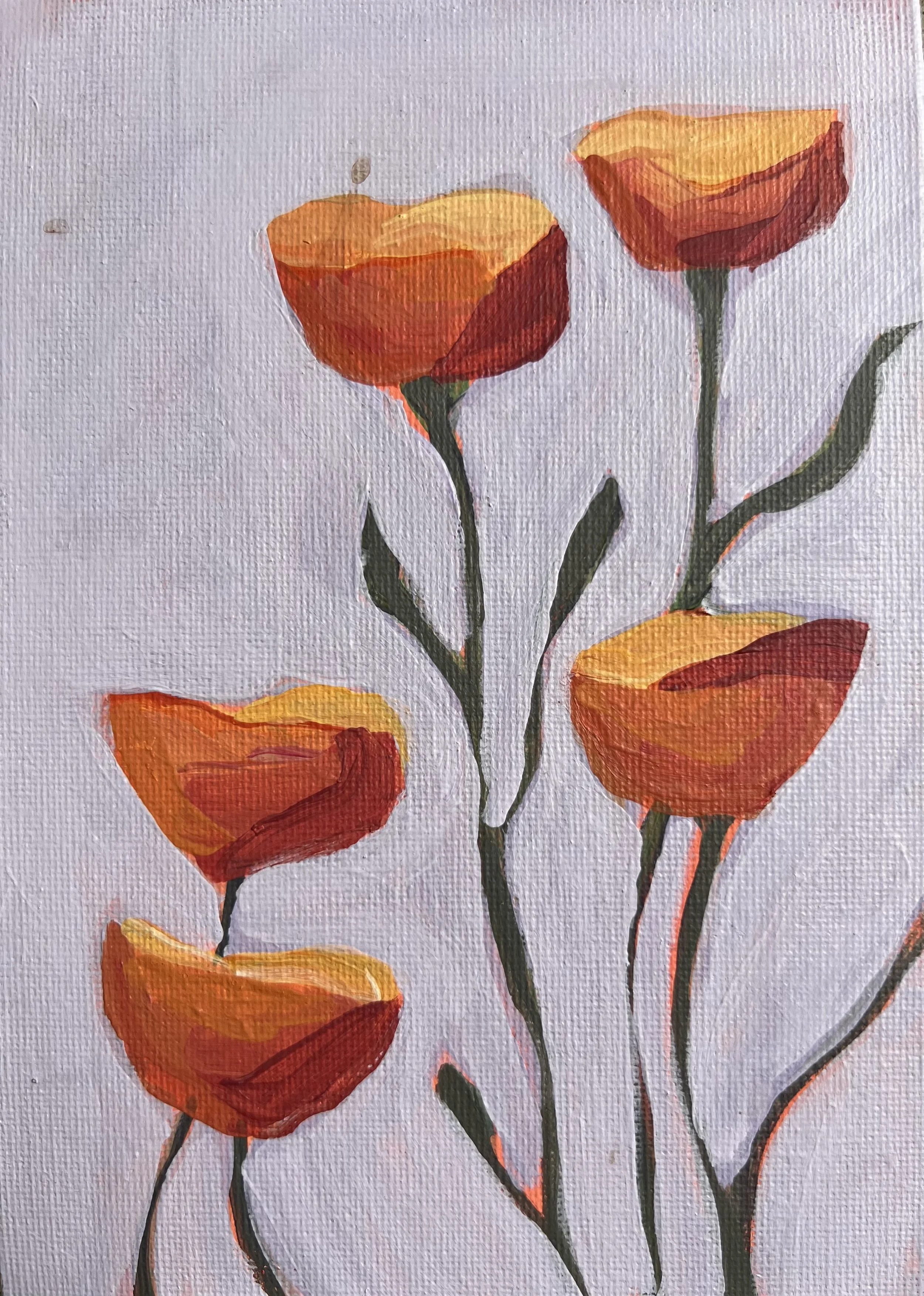 California Poppies