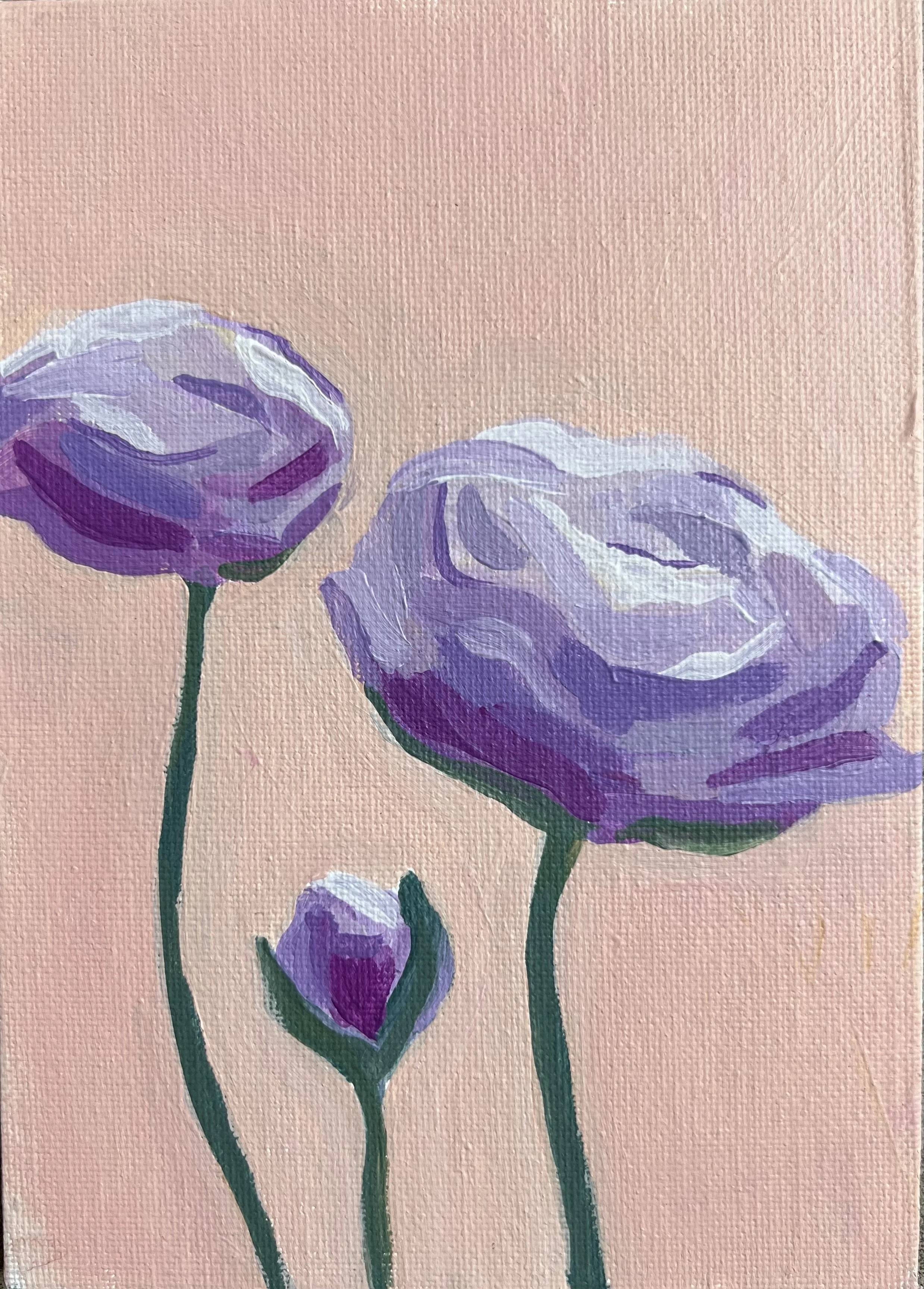 Purple Peony