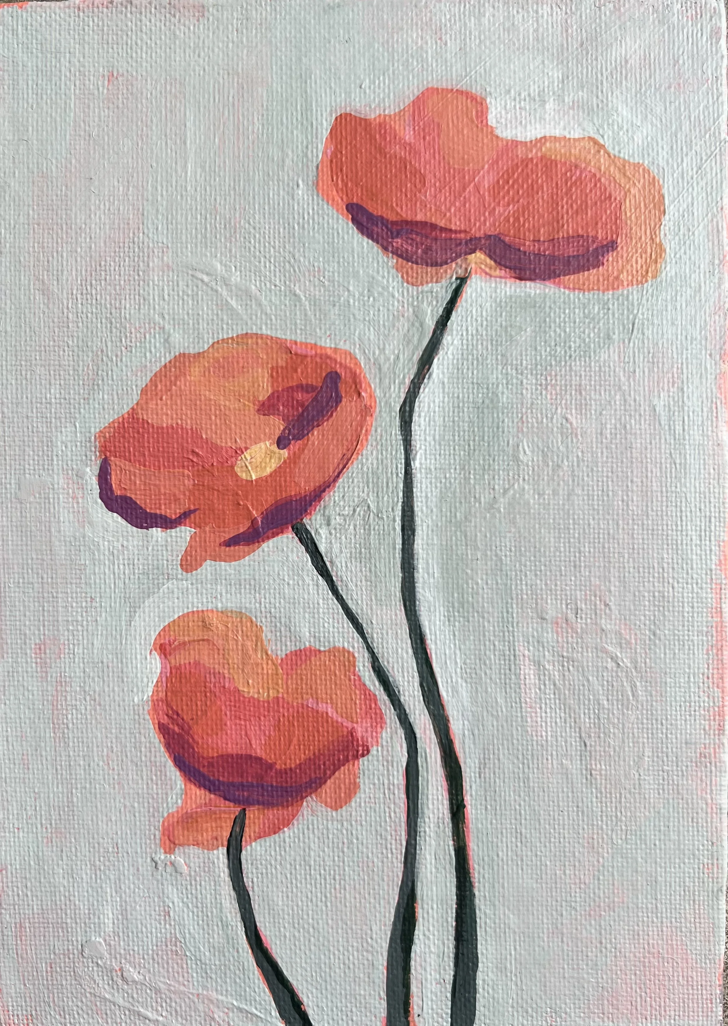 Poppy