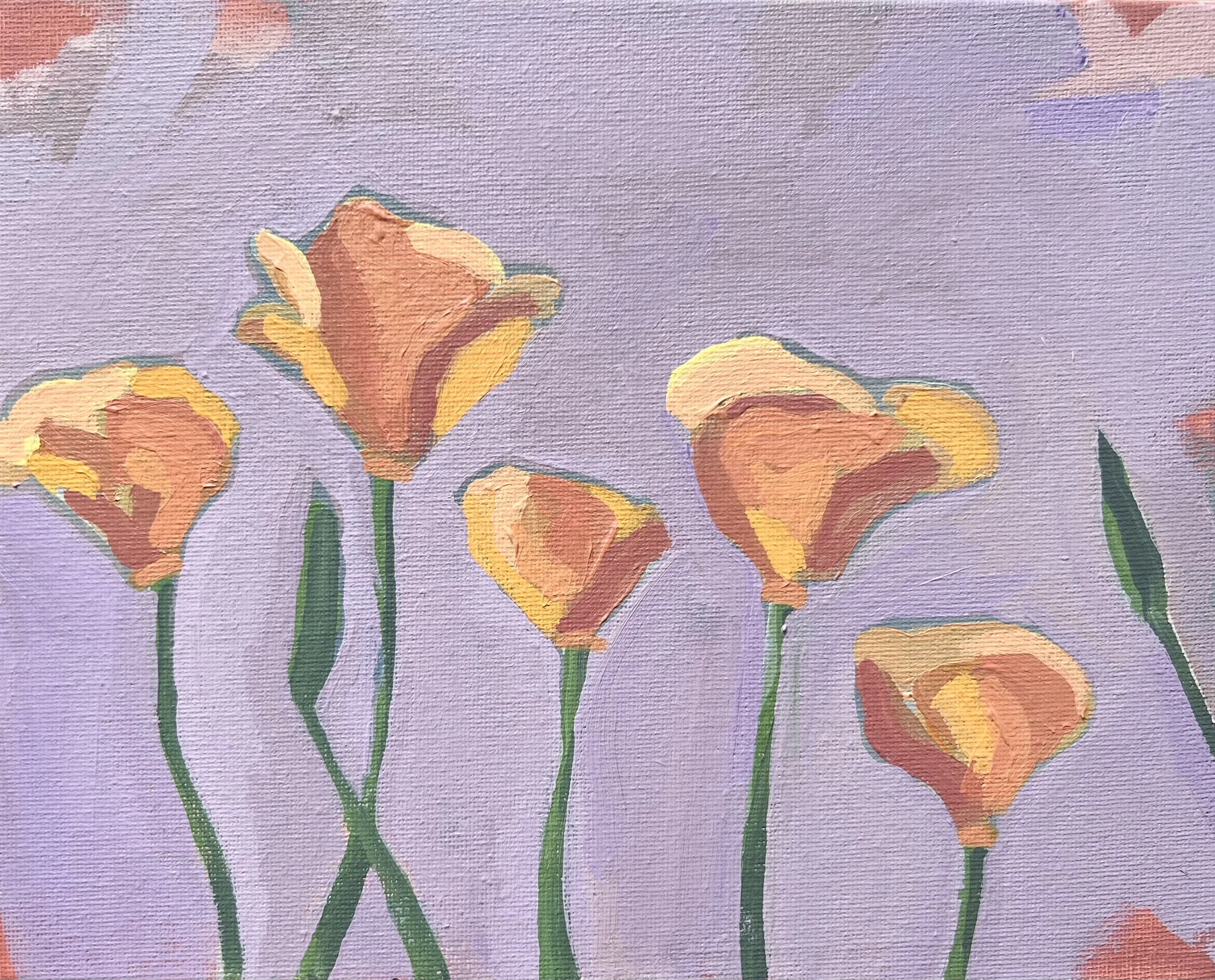 Desert Poppies