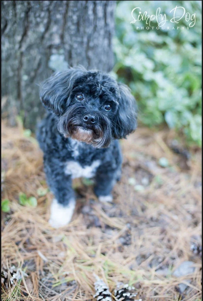 Max