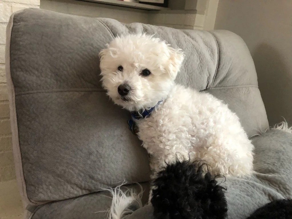 Casper