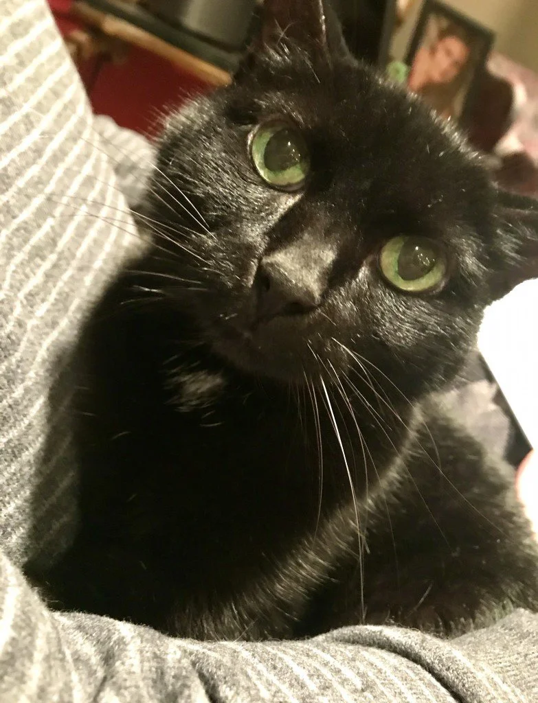 Pepper