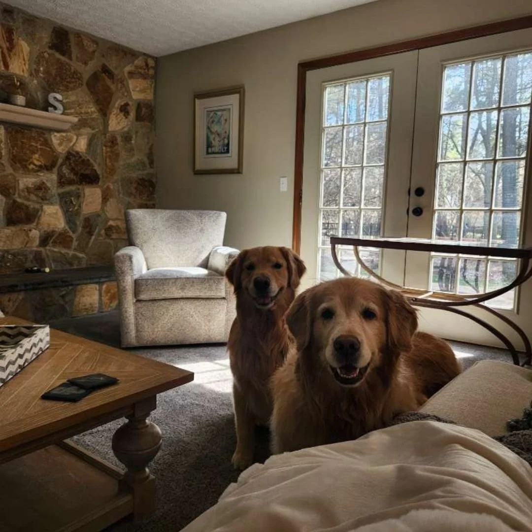 For those times when you need your pet to have a home away from home, our daycare and boarding services offer a cozy and loving environment! Our carefully selected and trained sitters open their hearts and homes to ensure your pets feel safe and secu