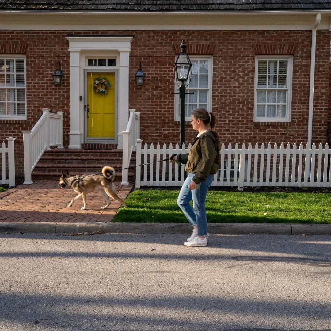 Did you know....that dogs should be walked an average of 30-60 minutes a day? That's where we come in! Our experienced walkers ensure your dog gets exercise, stimulation and care while you're at work. Serving Worthington, Westerville, New Albany &amp