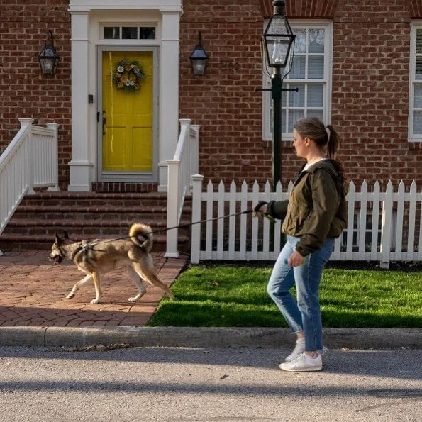 🐾 Big news from Happy Tails! 🐾
Since 2013, we&rsquo;ve been Columbus&rsquo;s go-to for in-home pet sitting&mdash;and over the years, our dog walking services have grown like crazy. Now we&rsquo;re expanding dog walking even more, while still caring