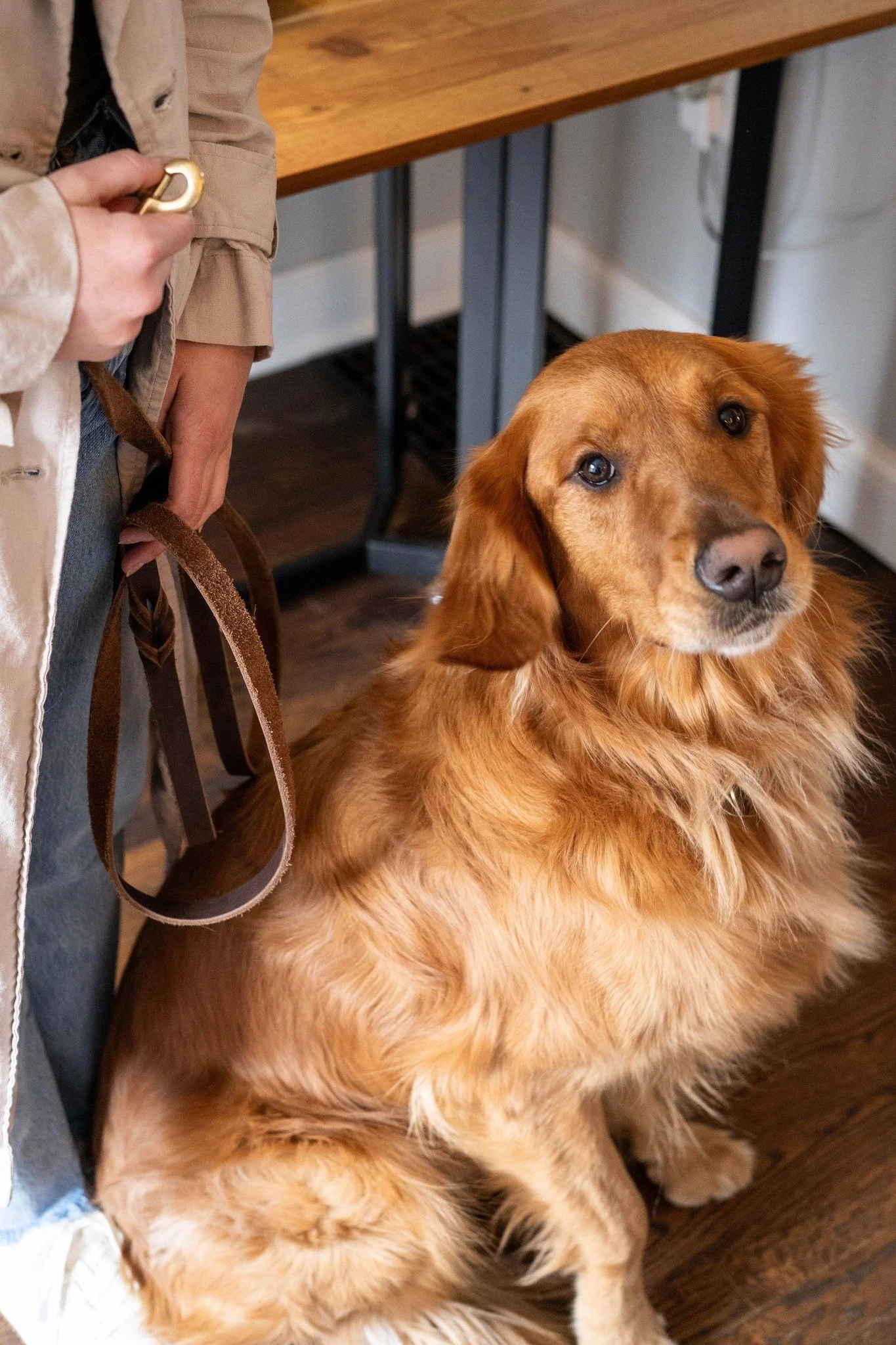 🚶&zwj;♂️🐾 Now Accepting New Dog Walking Clients! 🐾🚶&zwj;♀️

Busy schedule? Long work hours? Let Happy Tails make sure your pup gets the exercise and attention they deserve&mdash;rain or shine, we&rsquo;ve got you covered!

✨ Established in 2013
?