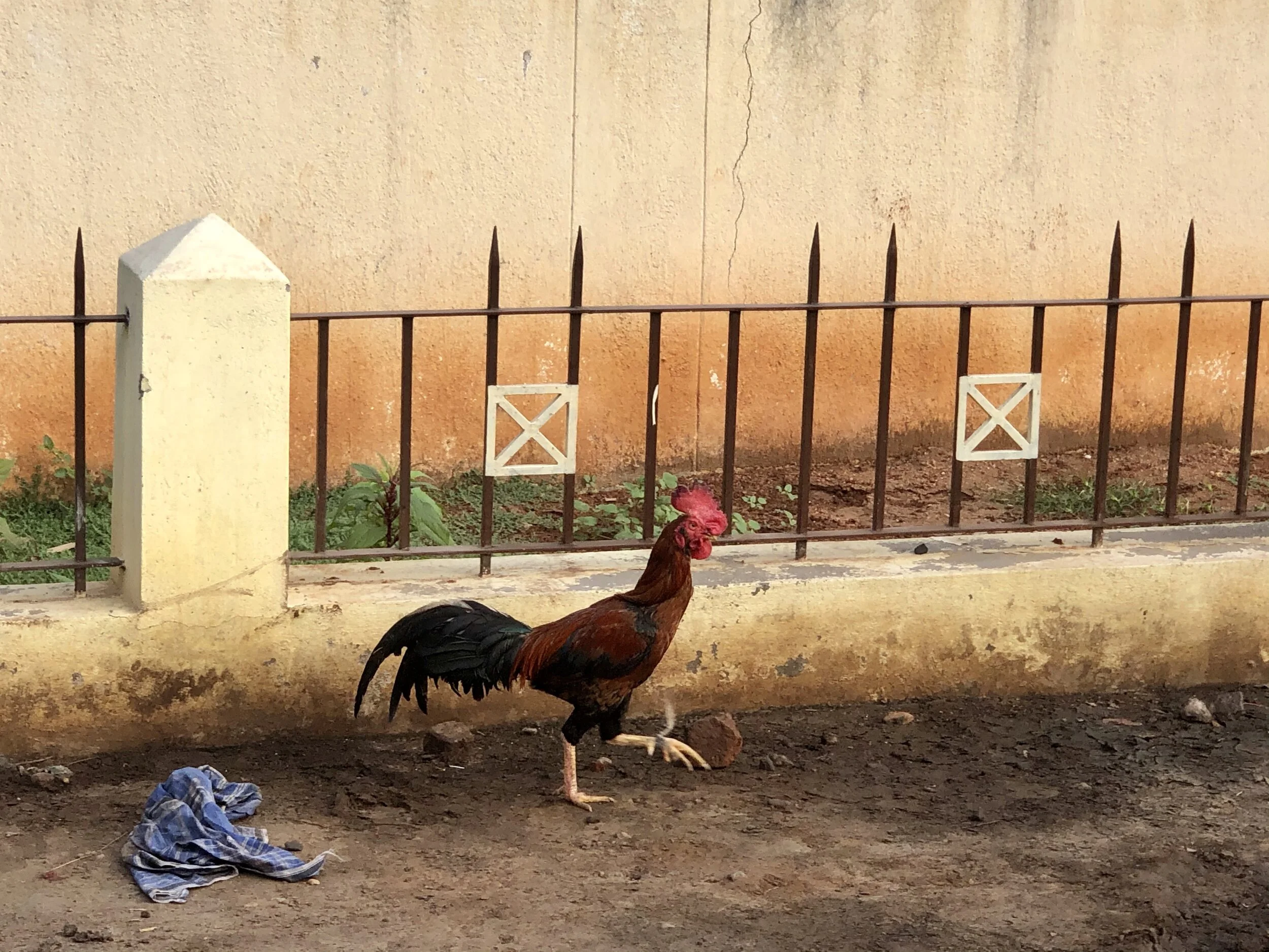 Early to Rise...Early to Bed...