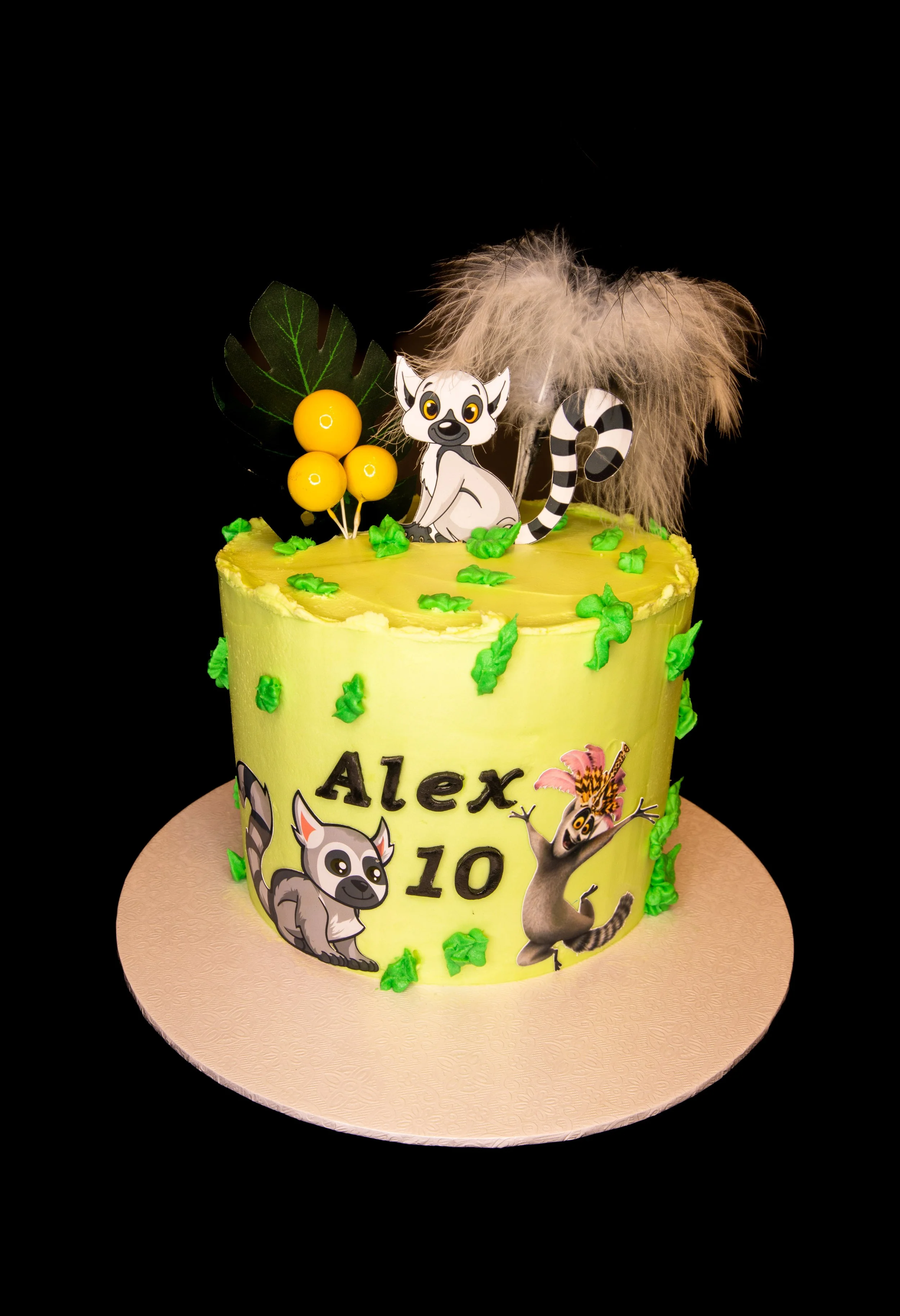 Madagascar Themed Birthday Cake
