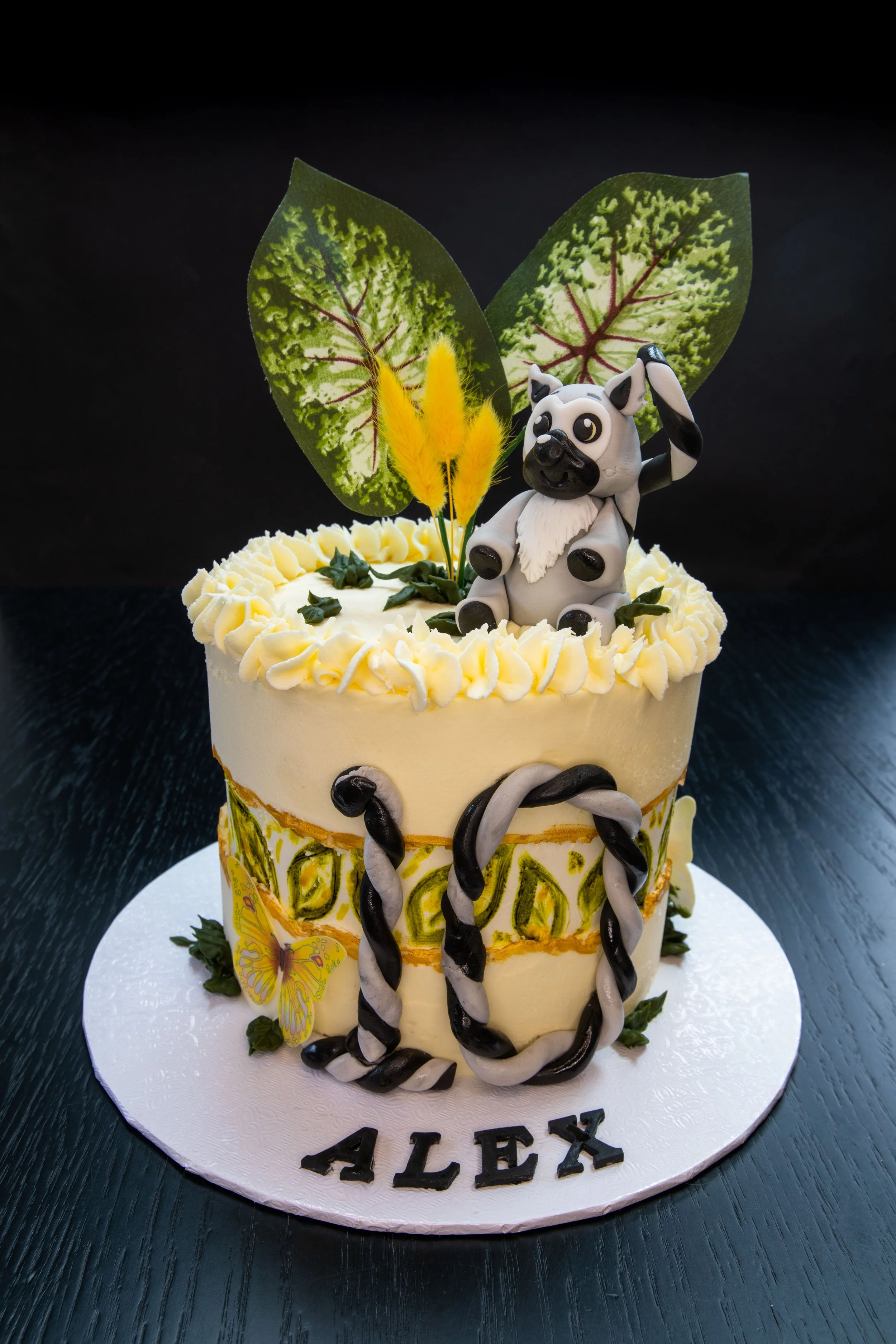 Madgascar Themed Birthday Cake