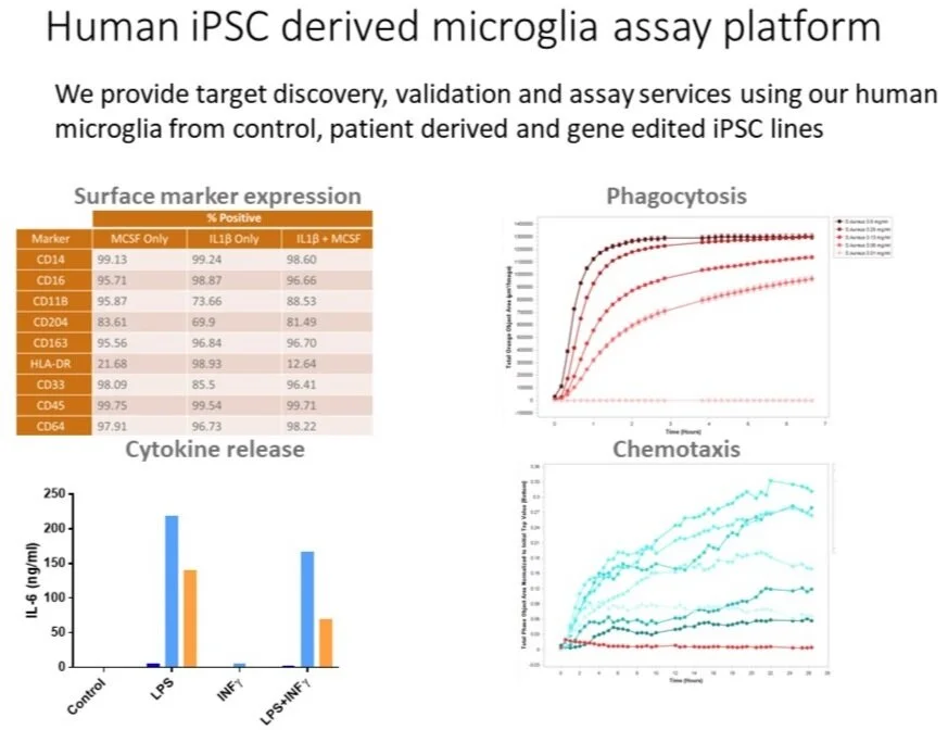 iPSC+microglia+assays.jpg