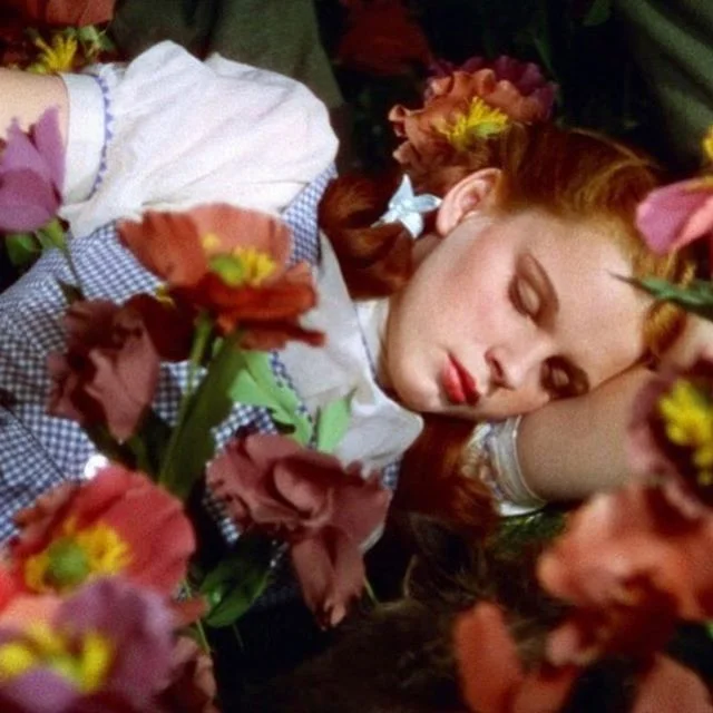 hi woes

we&rsquo;re taking a break from live shows as our papa Shelb recovers from spinal surgery (they&rsquo;re a strong human hi we&rsquo;re so proud of u!!!)
⠀⠀⠀⠀⠀⠀⠀⠀⠀
until then, we&rsquo;ll be working hard on new tracks. 
expect more mood board