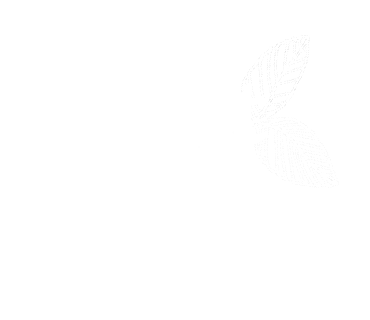 Mint Skin
