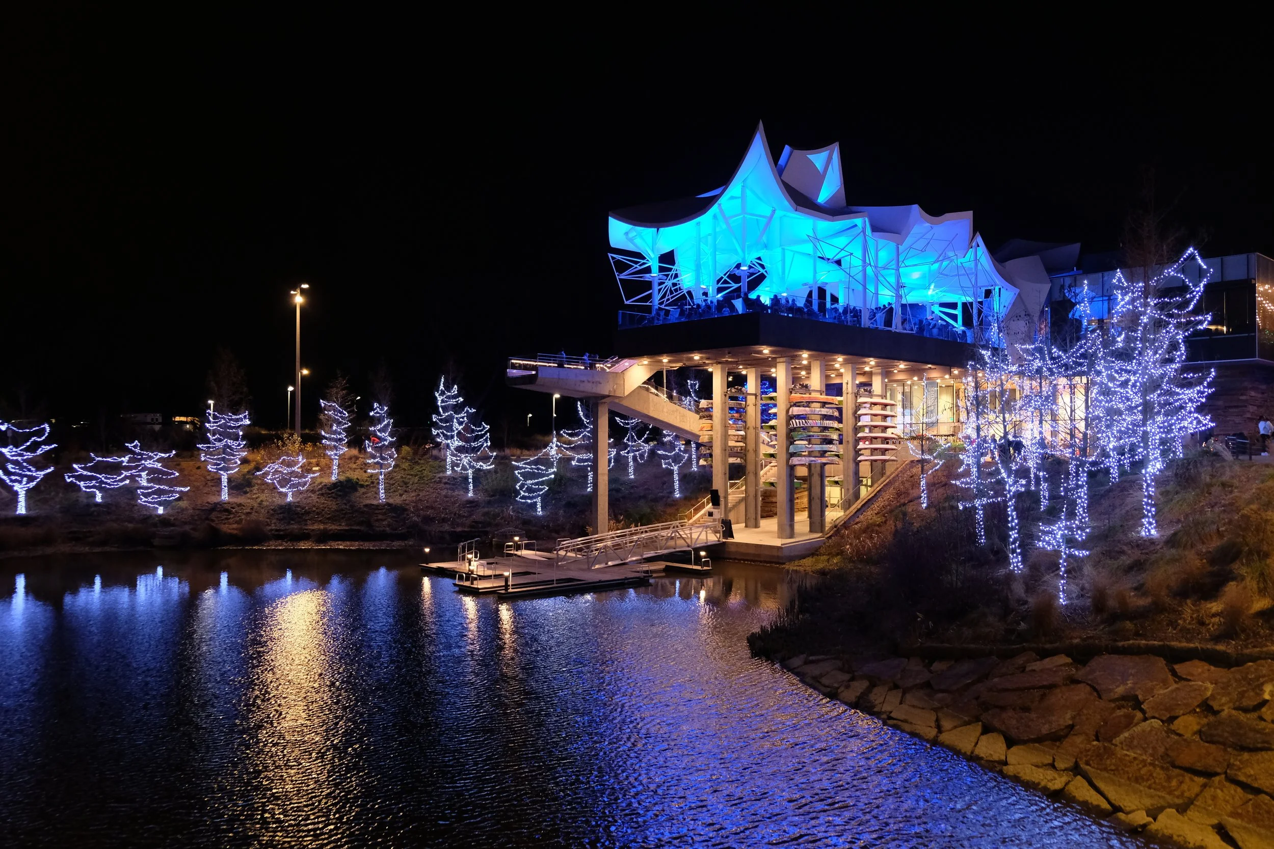 NightLights.JPG