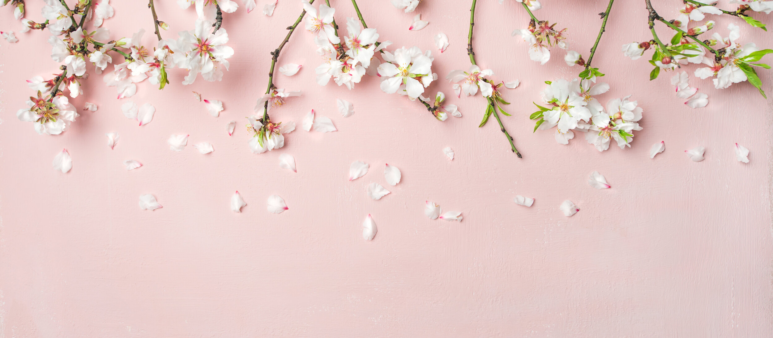 AdobeStock_199099182.jpg