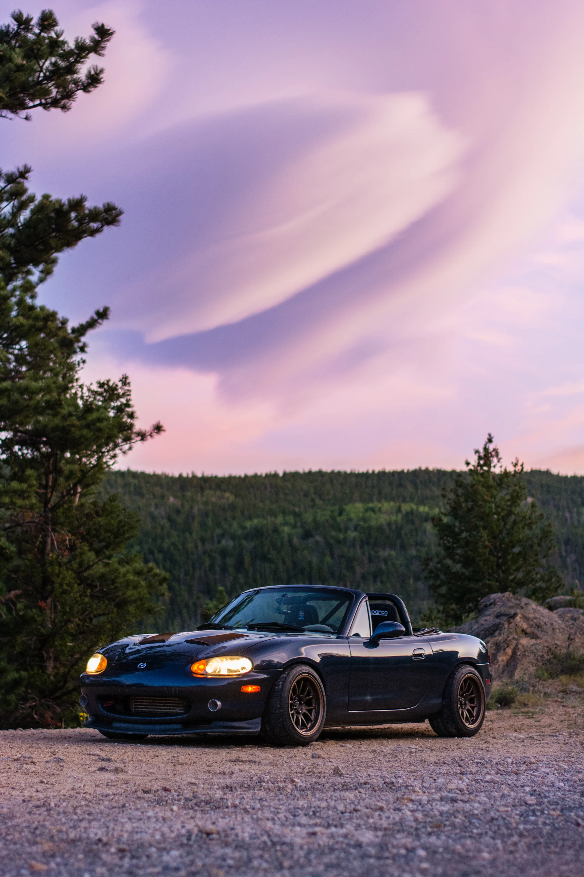 DWT_3697.jpg