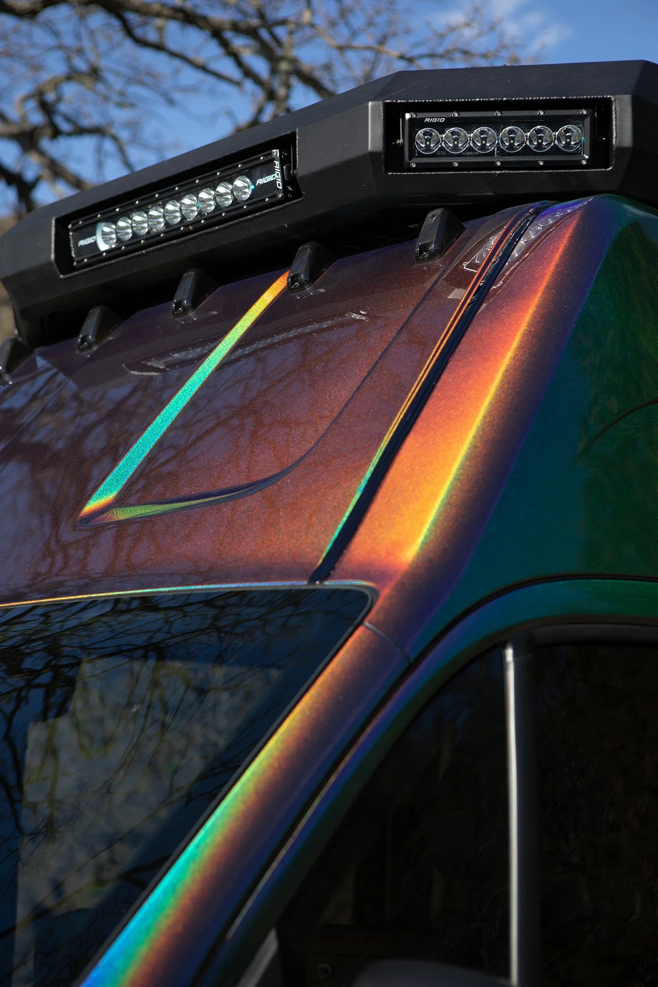 Cosmicc's iridescent exterior