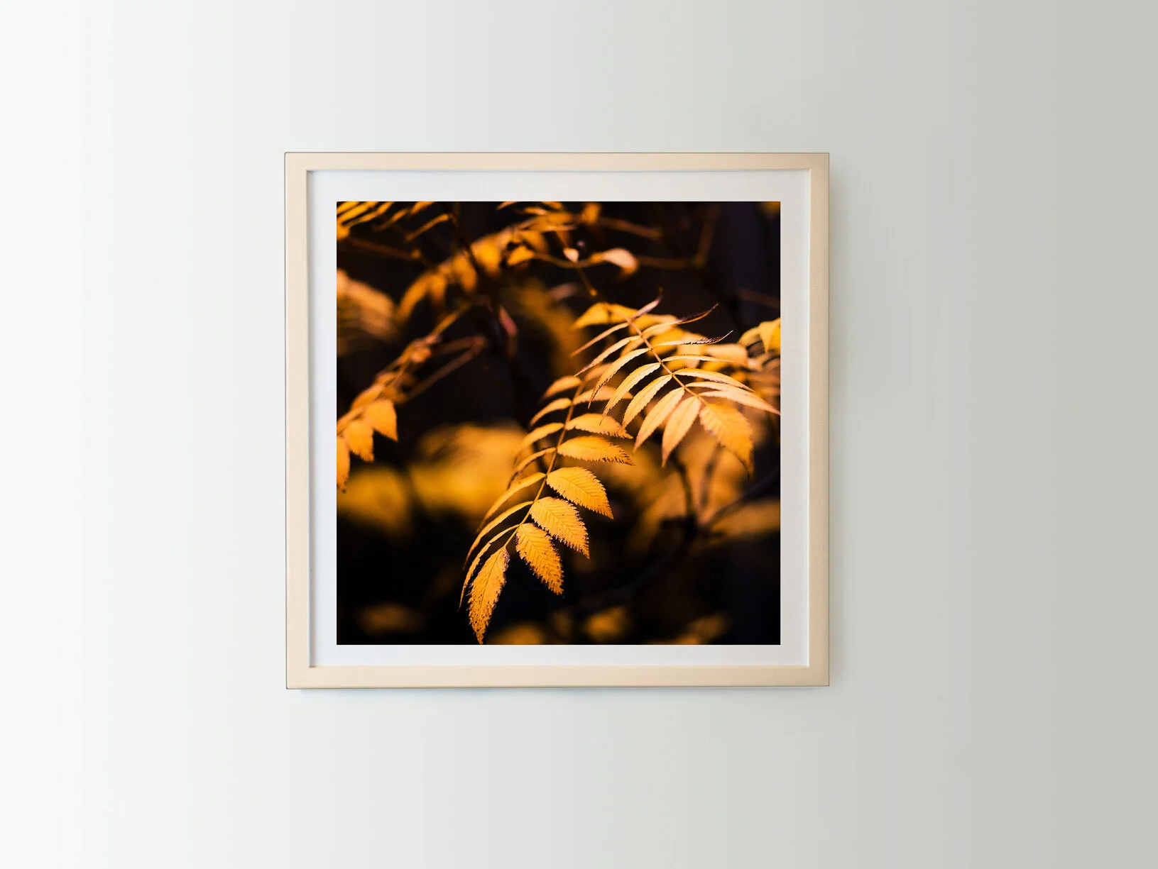 fall-leaves-wood-square.jpg